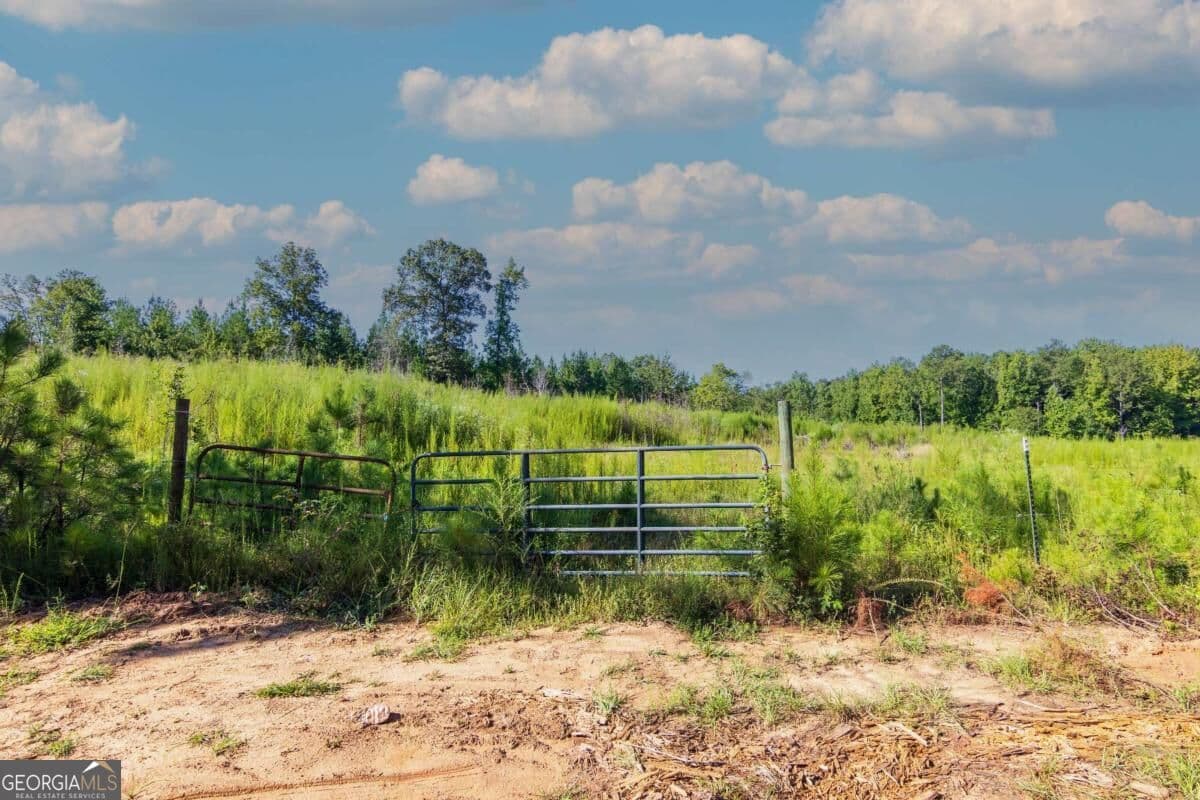 unimproved land for sale at TRACT 8 Carlisle Gap Road, Woodland, GA 31836 — photo 1 of 24