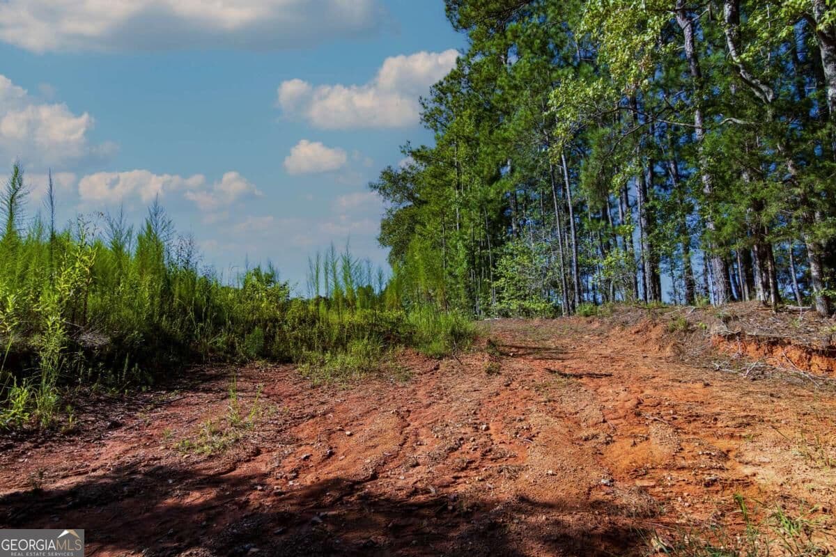 unimproved land for sale at TRACT 8 Carlisle Gap Road, Woodland, GA 31836 — photo 5