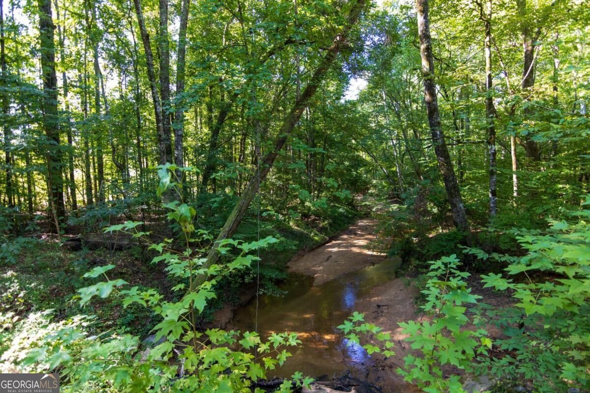 unimproved land for sale at TRACT 8 Carlisle Gap Road, Woodland, GA 31836 — photo 9
