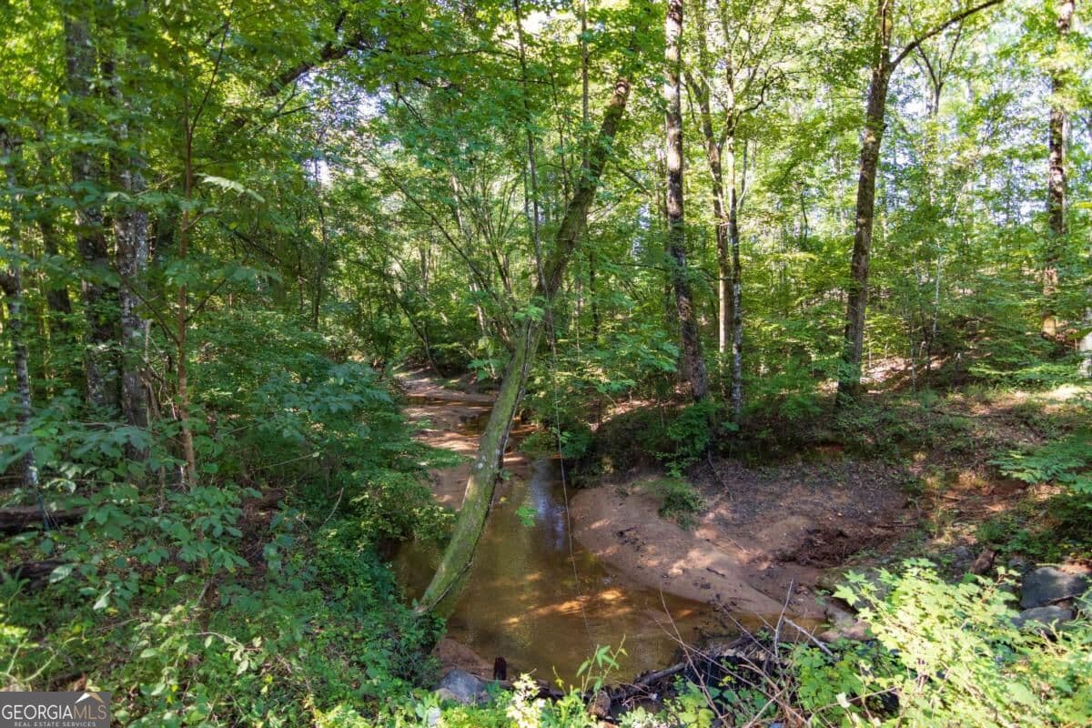 unimproved land for sale at TRACT 8 Carlisle Gap Road, Woodland, GA 31836 — photo 10