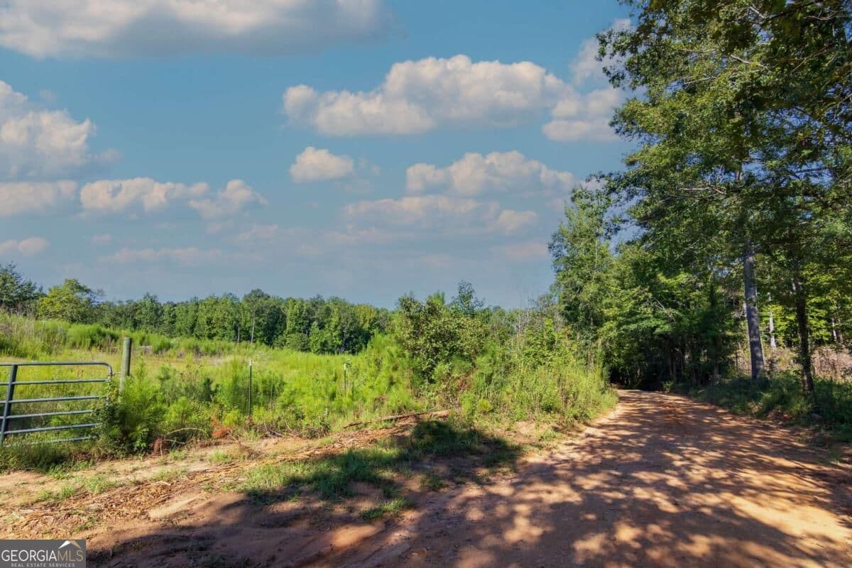 unimproved land for sale at TRACT 8 Carlisle Gap Road, Woodland, GA 31836 — photo 4