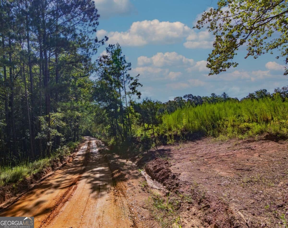 unimproved land for sale at TRACT 8 Carlisle Gap Road, Woodland, GA 31836 — photo 8