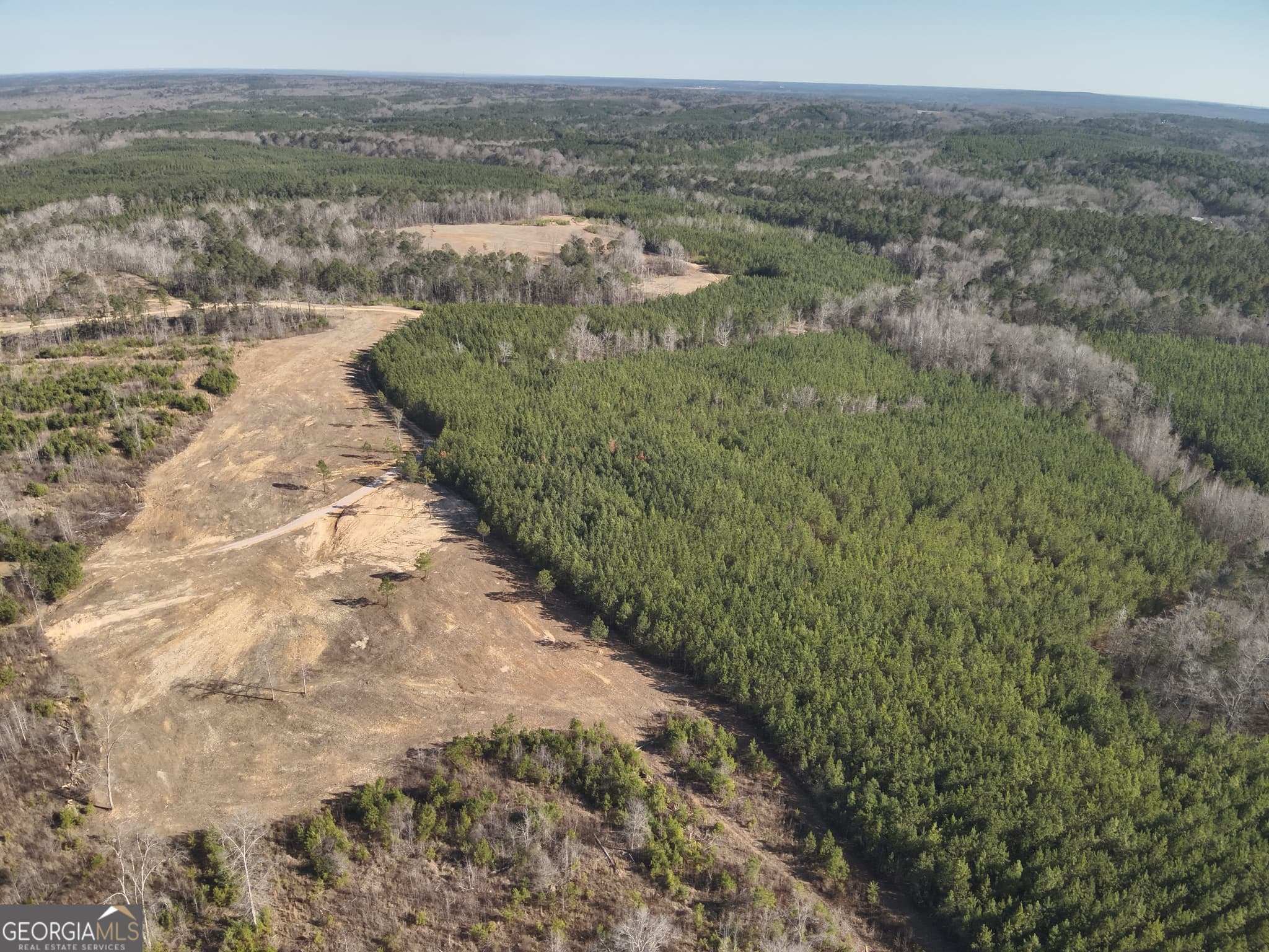 unimproved land for sale at 142 Wilson, Musella, GA 31066 — photo 2