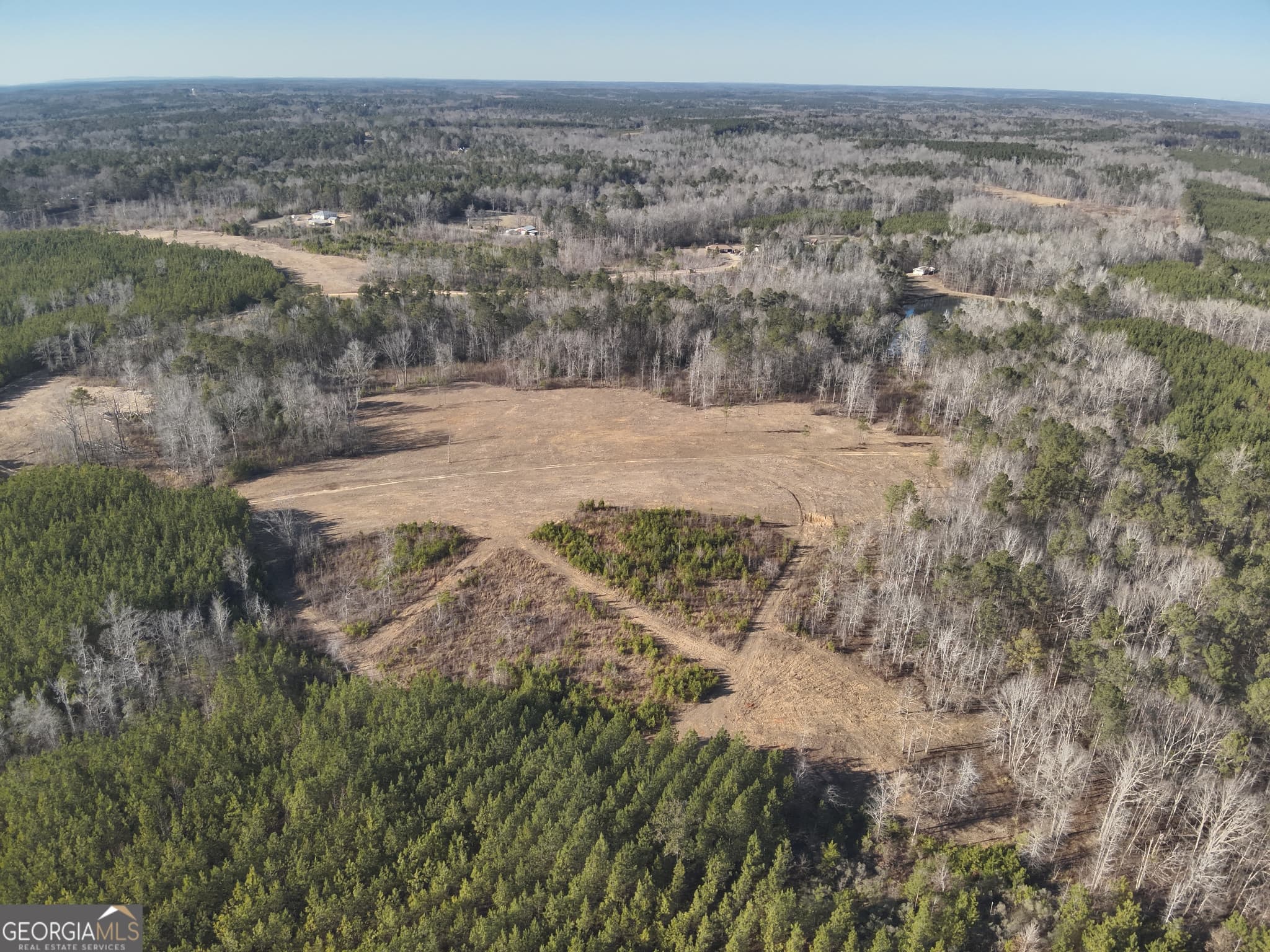 unimproved land for sale at 142 Wilson, Musella, GA 31066 — photo 6