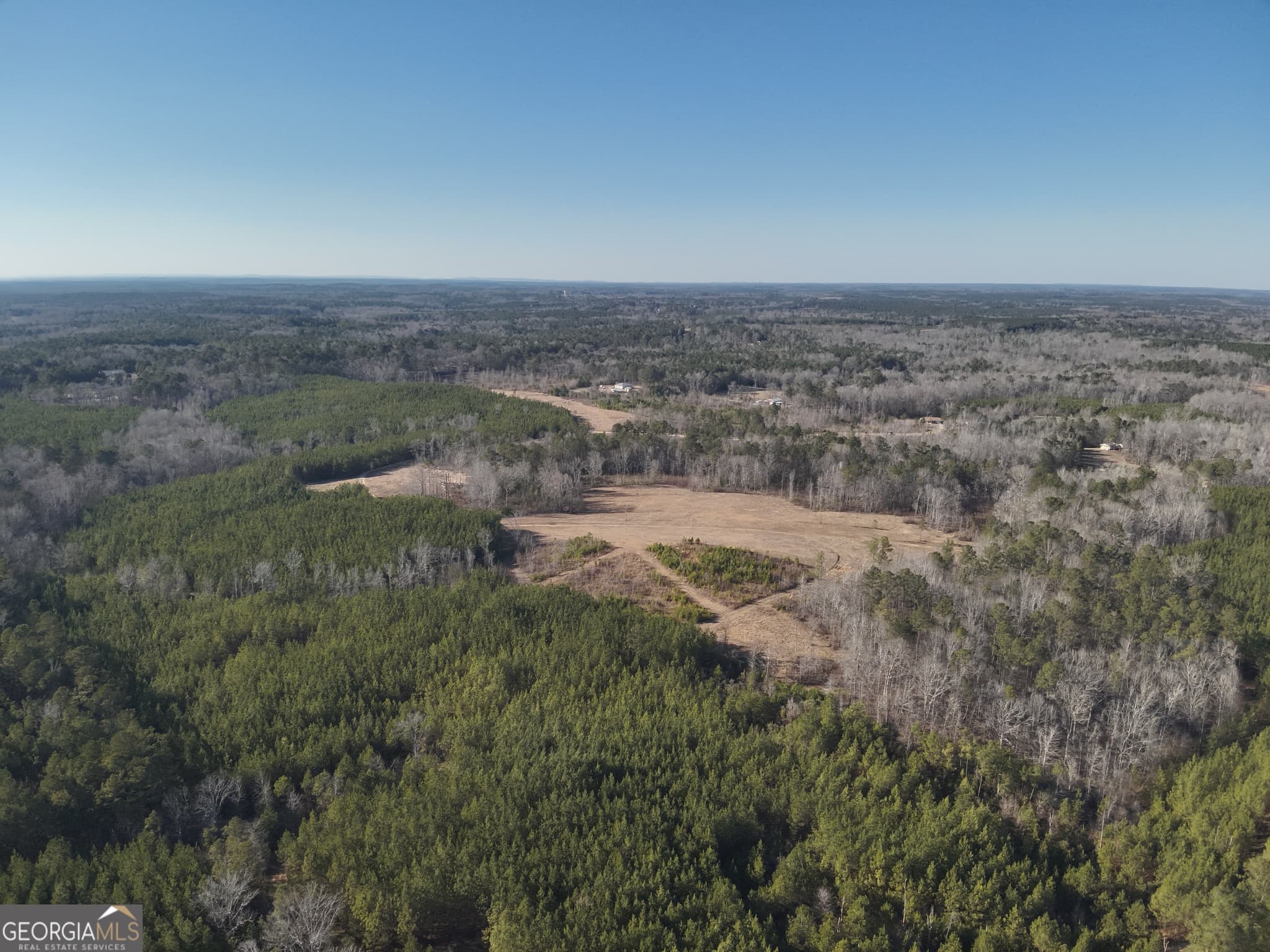 unimproved land for sale at 142 Wilson, Musella, GA 31066 — photo 7