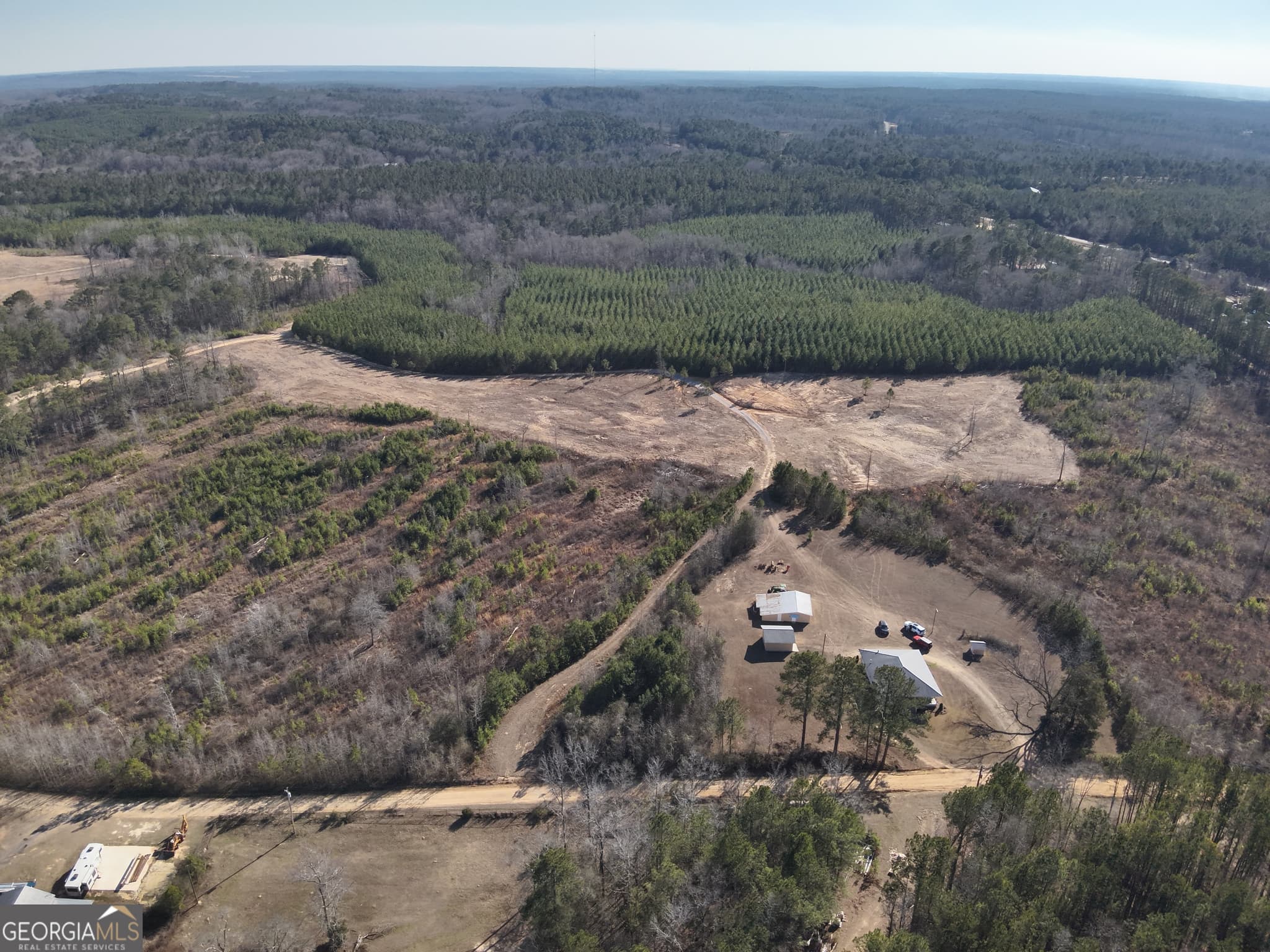 unimproved land for sale at 142 Wilson, Musella, GA 31066 — photo 3