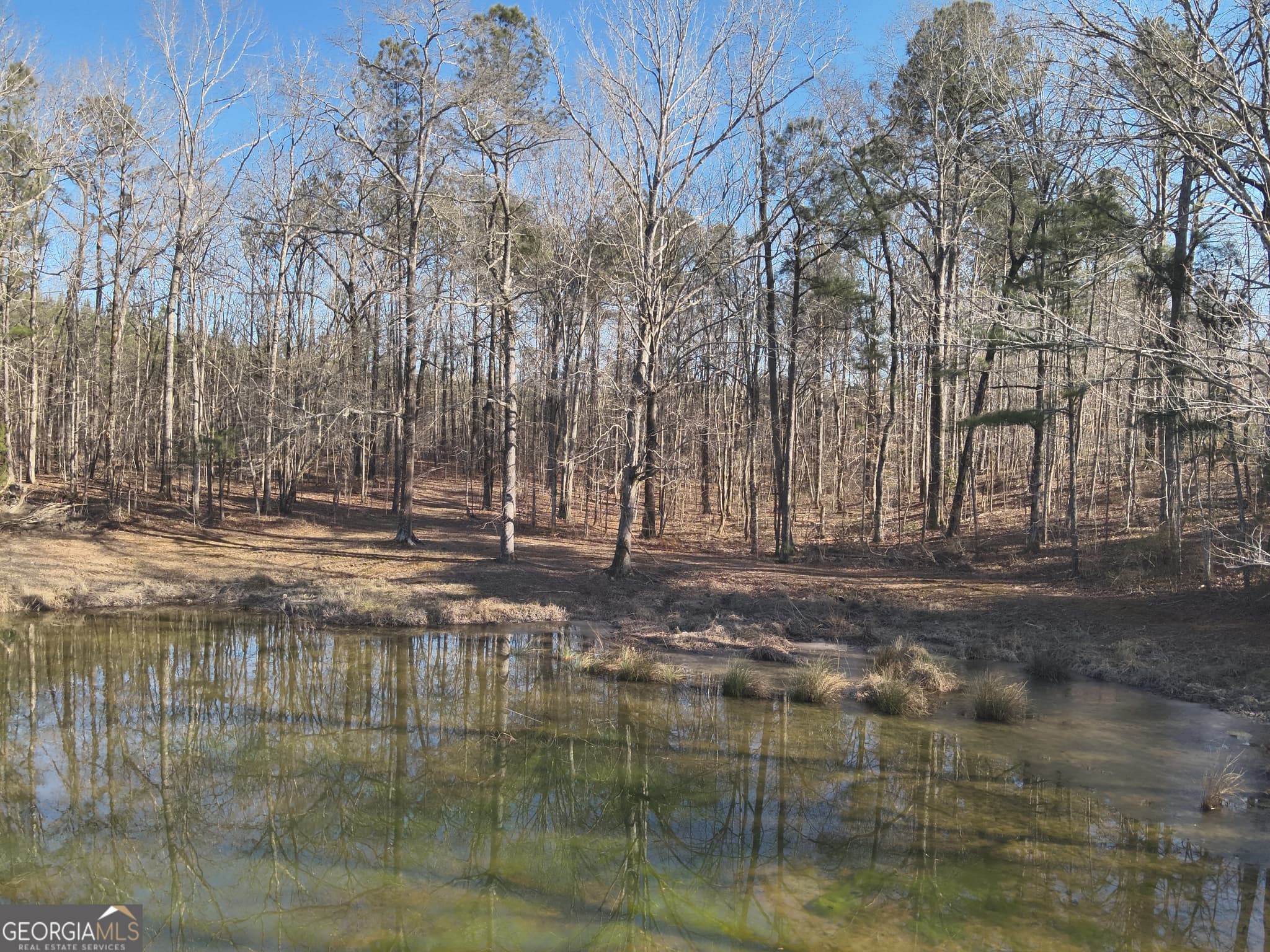 unimproved land for sale at 142 Wilson, Musella, GA 31066 — photo 9