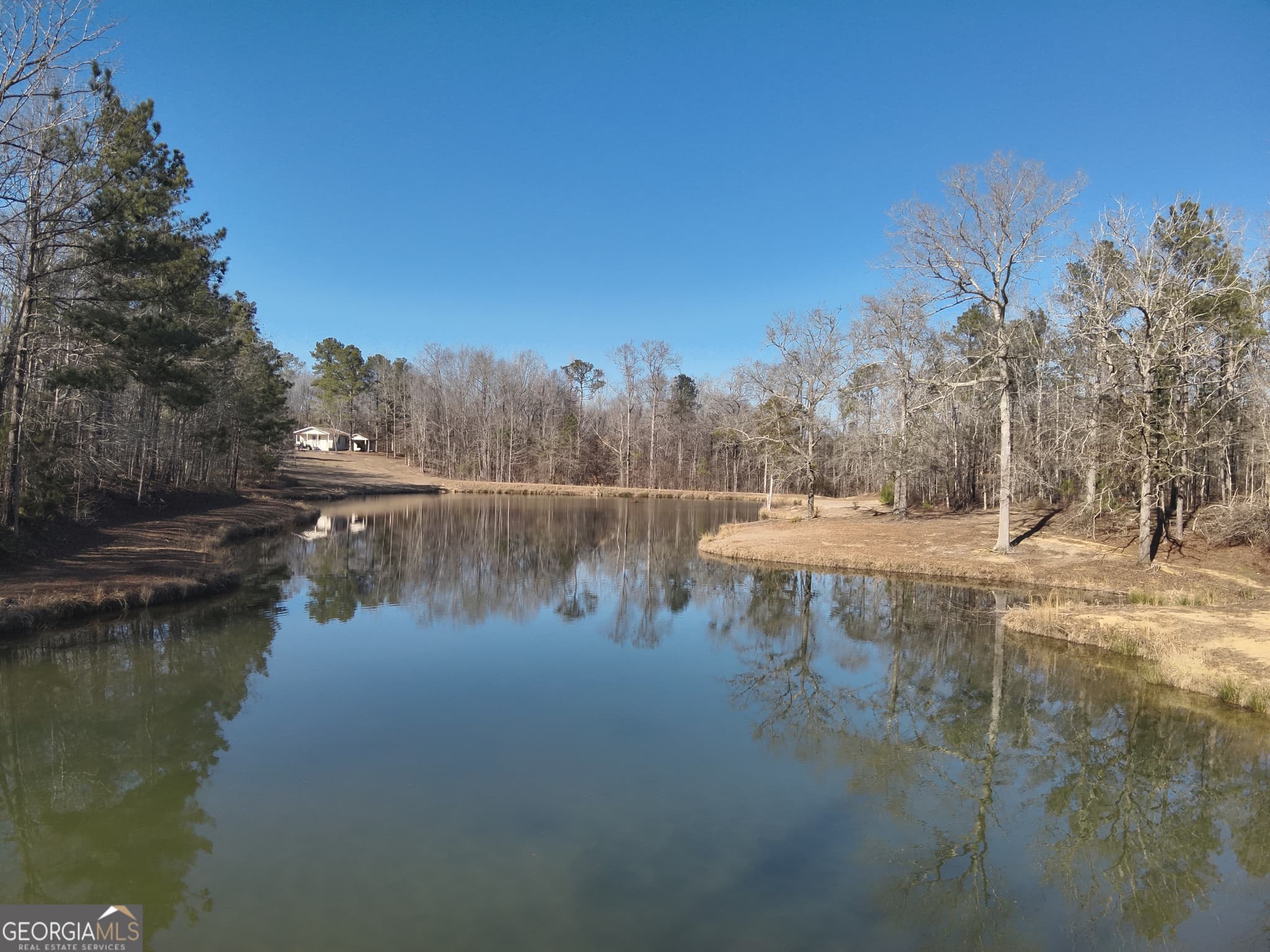 unimproved land for sale at 142 Wilson, Musella, GA 31066 — photo 10