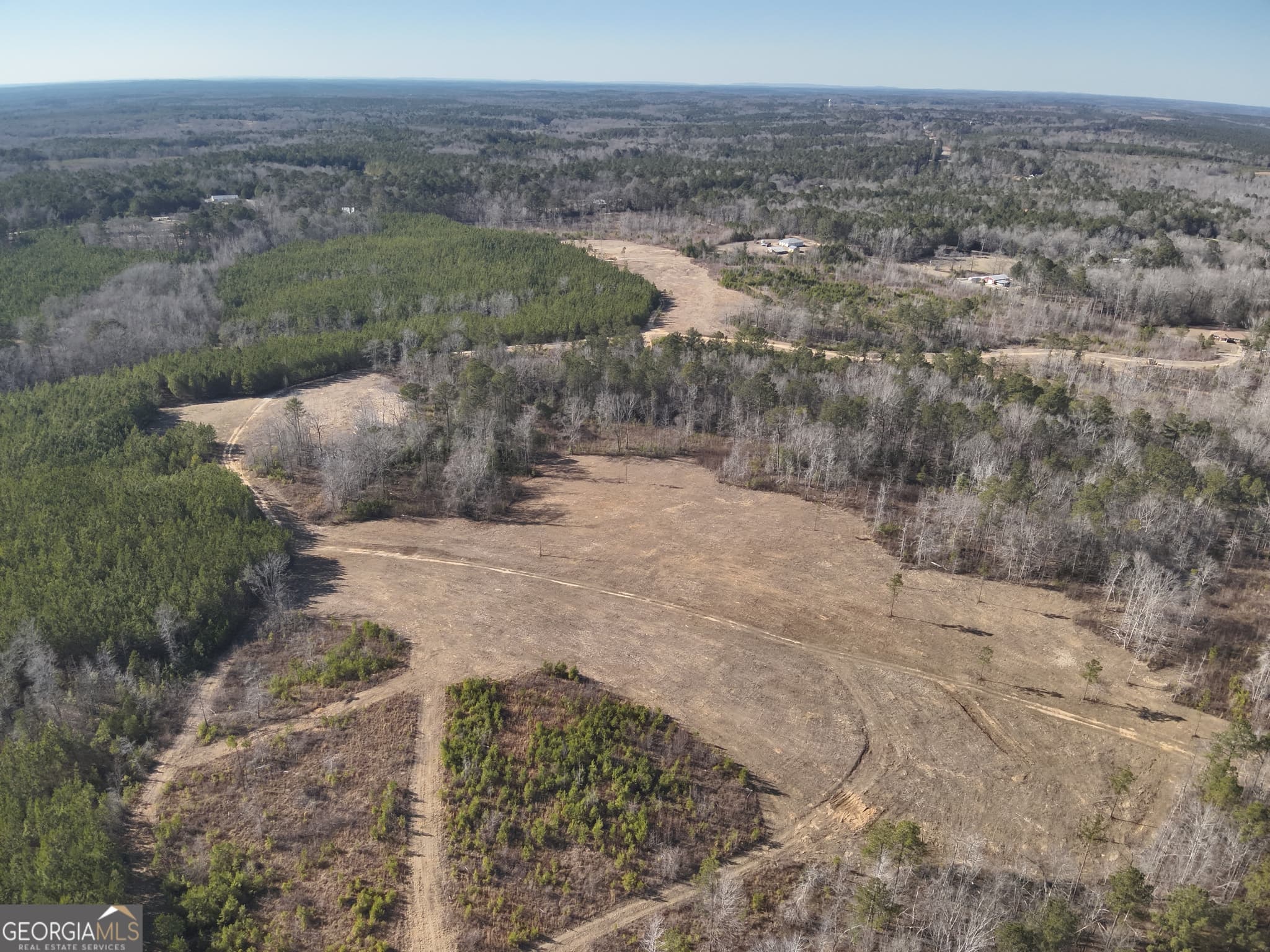 unimproved land for sale at 142 Wilson, Musella, GA 31066 — photo 4