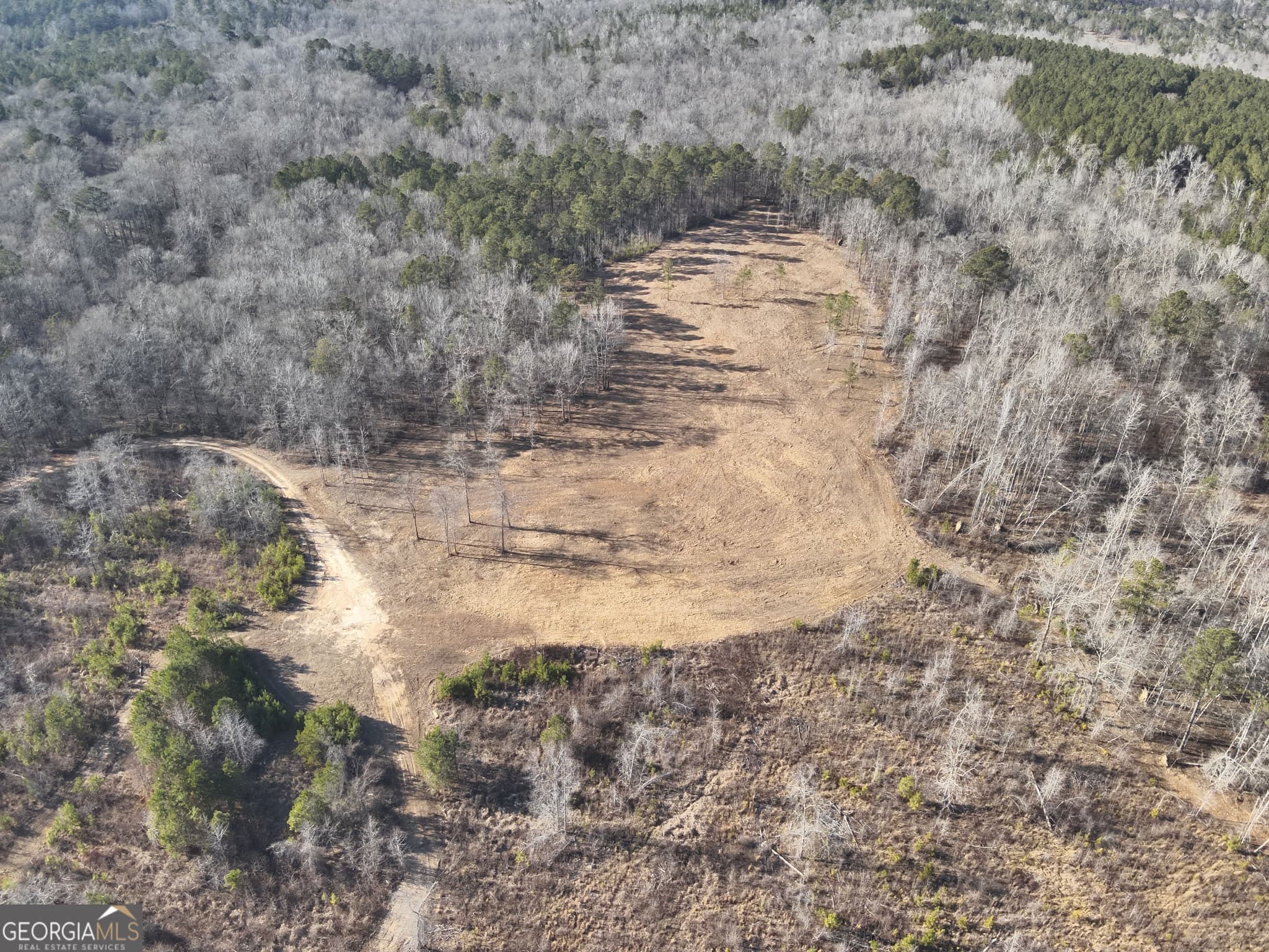 unimproved land for sale at 142 Wilson, Musella, GA 31066 — photo 8