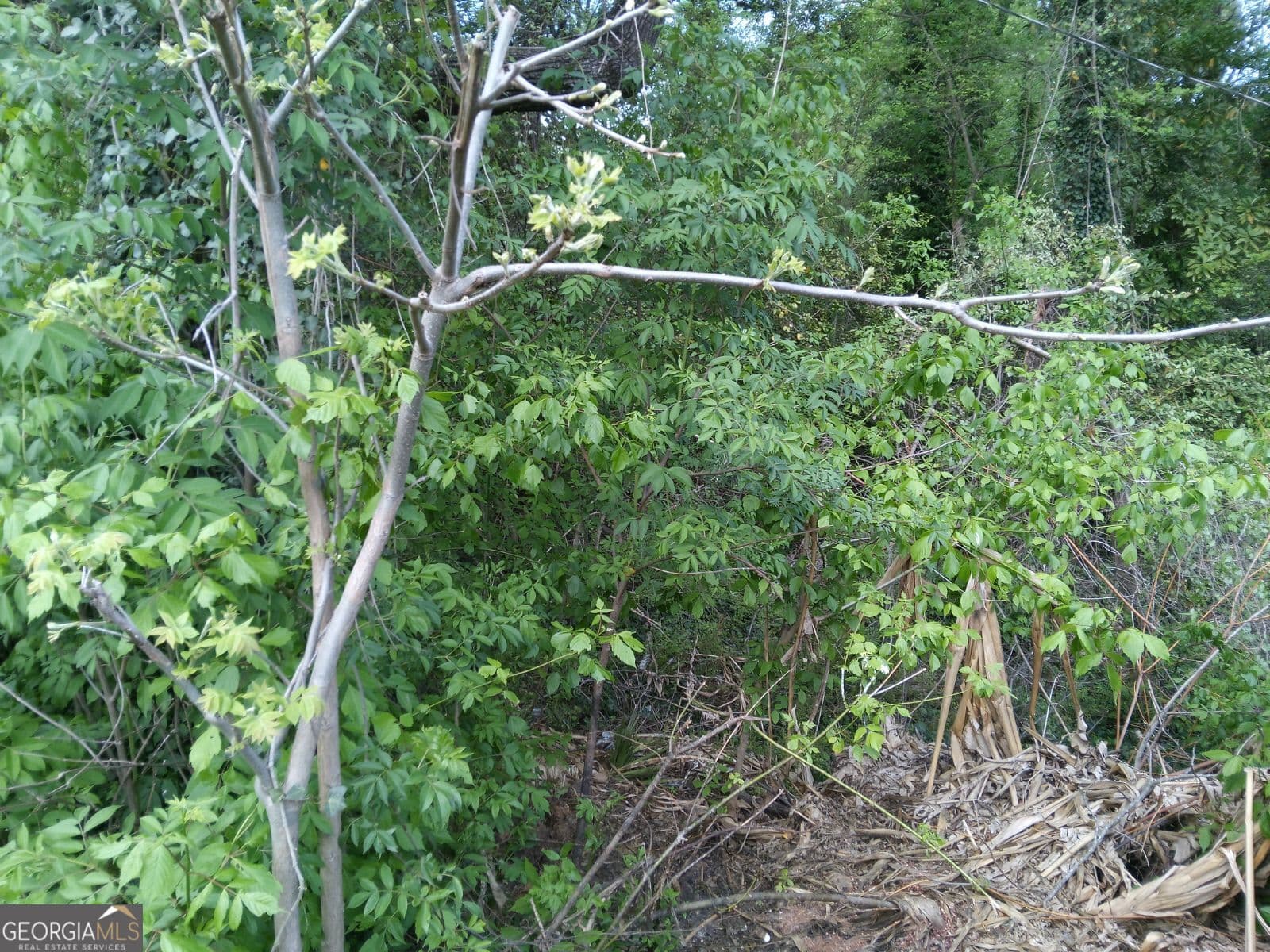 residential lot for sale at 2675 Sandtown Road, Marietta, GA 30060 — photo 2