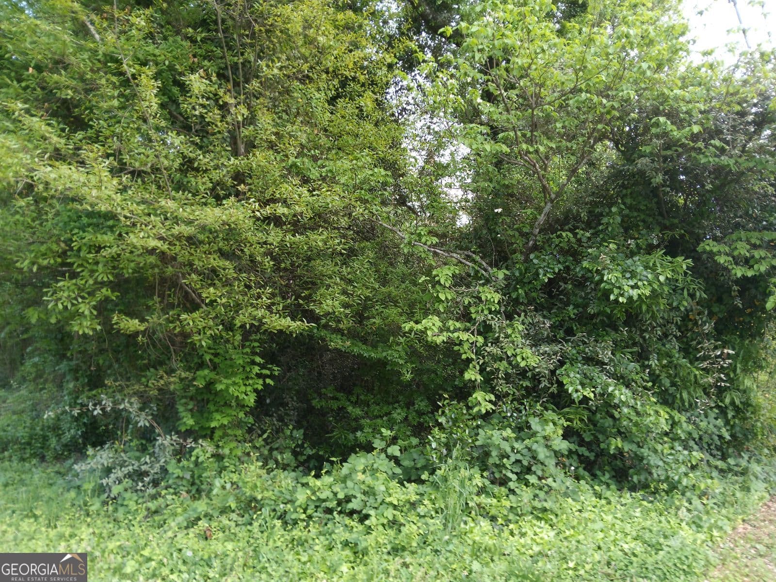 residential lot for sale at 2675 Sandtown Road, Marietta, GA 30060 — photo 3