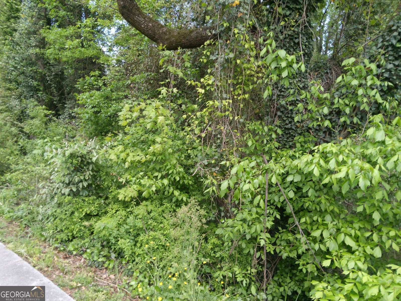 residential lot for sale at 2675 Sandtown Road, Marietta, GA 30060 — photo 4