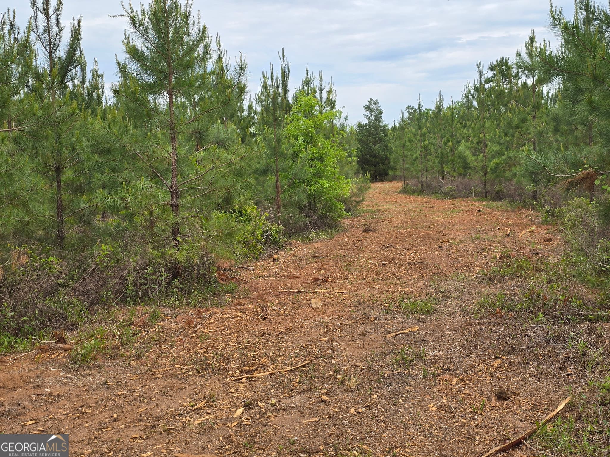 agriculture sold at 12 Marvin Murphy Road, Ellaville, GA 31806