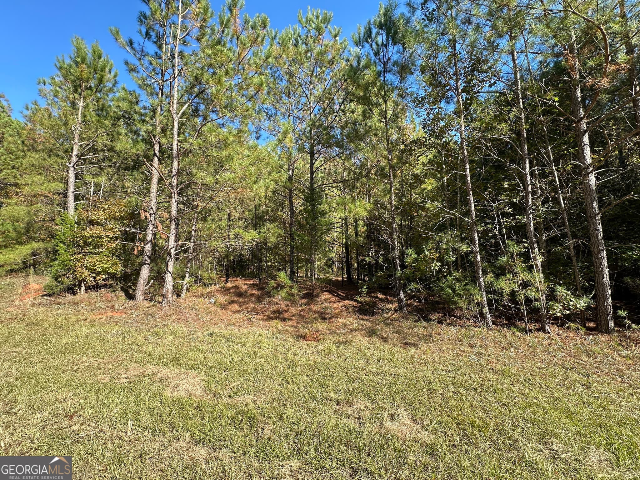 agriculture for sale at 0 Crook Road, Lincolnton, GA 30817 — photo 2