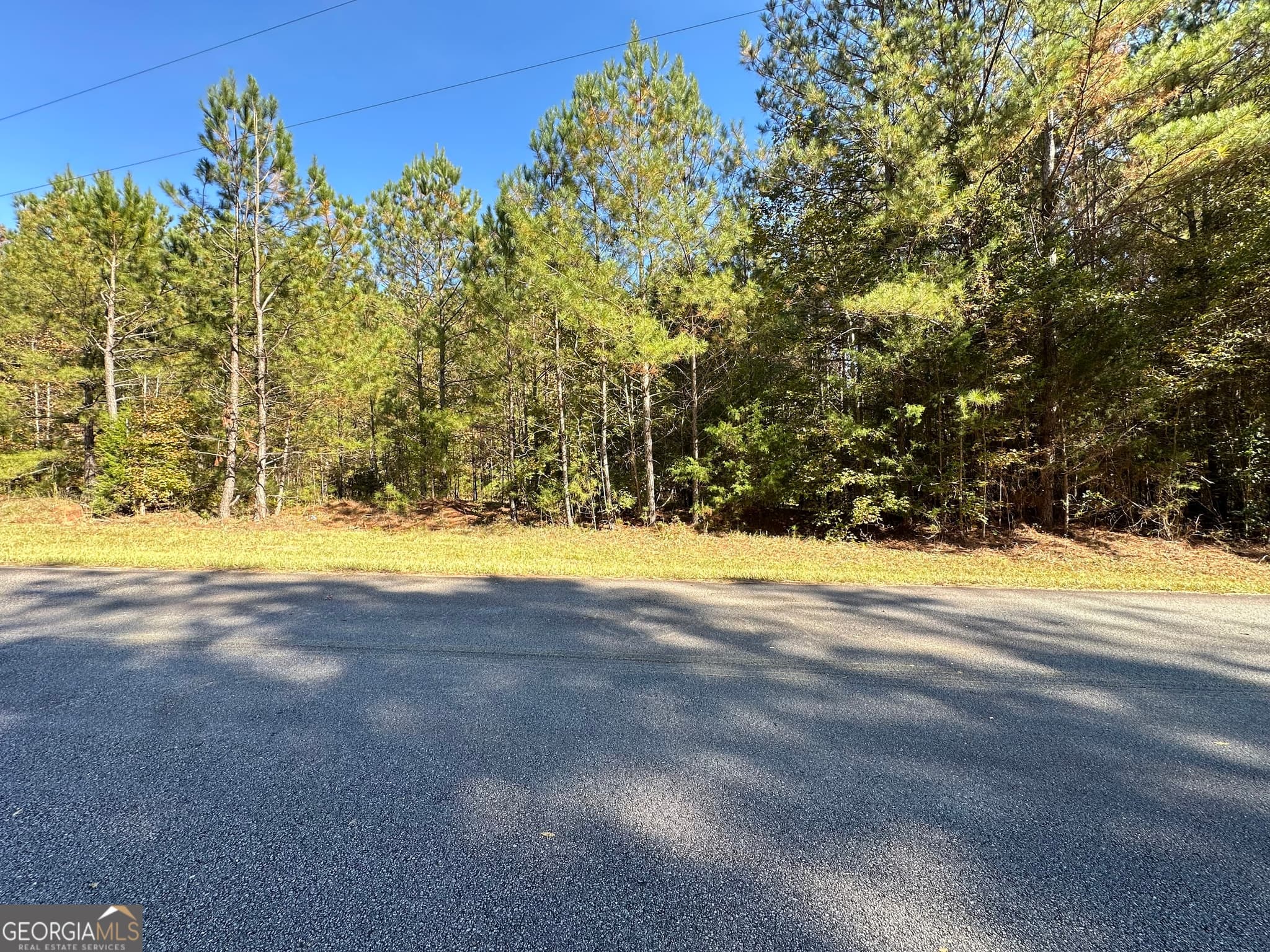 agriculture for sale at 0 Crook Road, Lincolnton, GA 30817 — photo 3