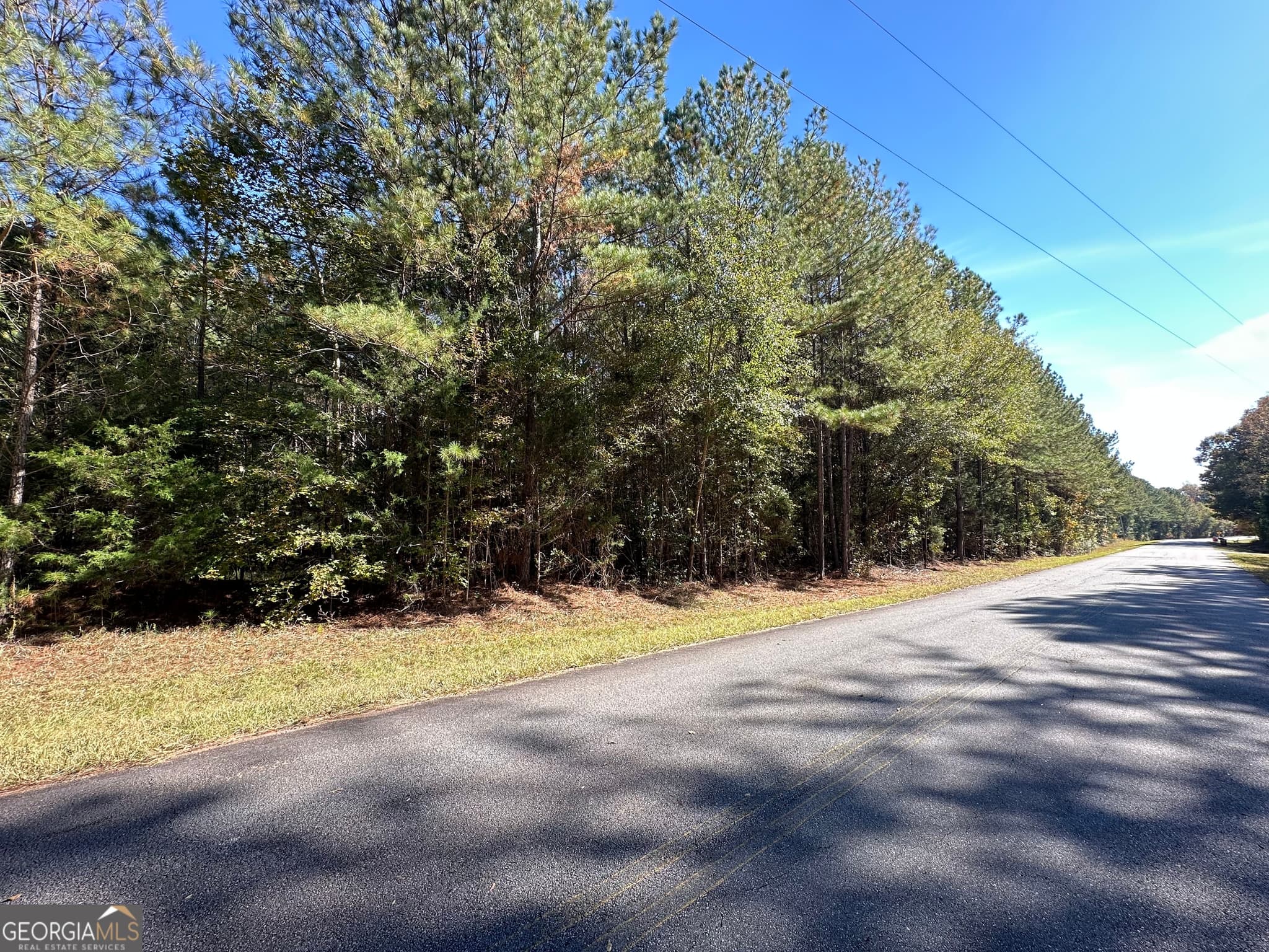 agriculture for sale at 0 Crook Road, Lincolnton, GA 30817 — photo 4