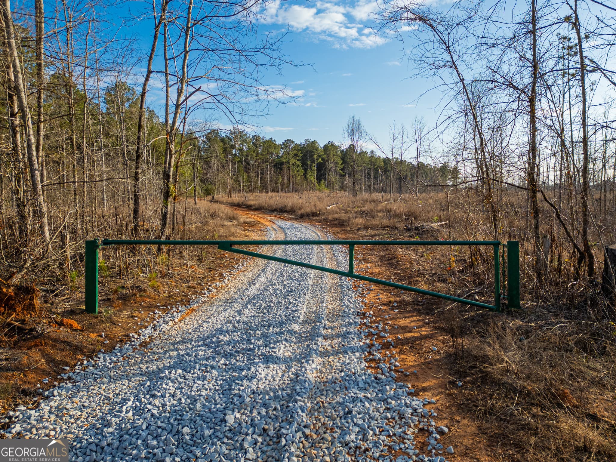 agriculture for sale at 1 Smith Rocky Branch Road, Carlton, GA 30627 — photo 2