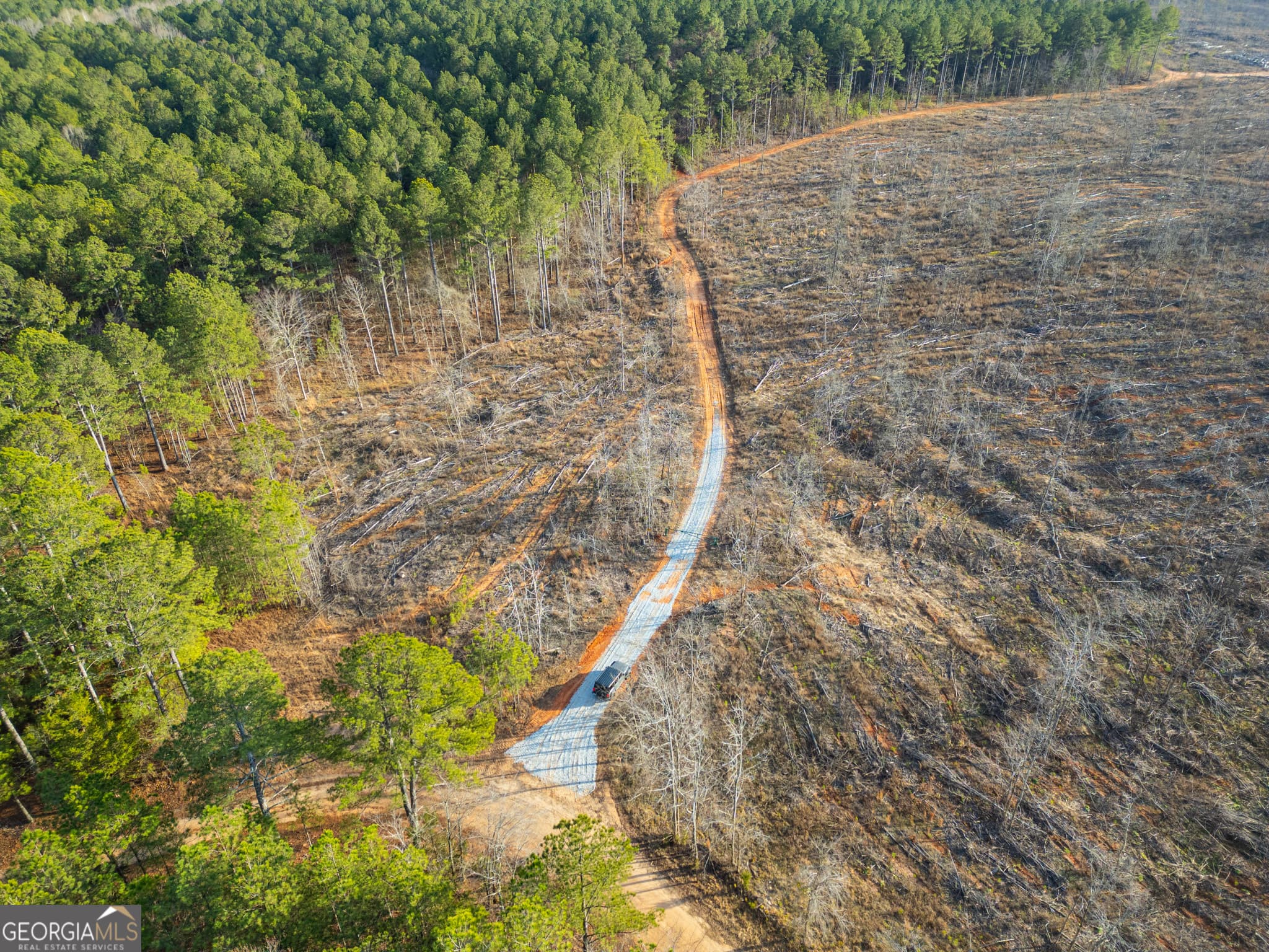 agriculture for sale at 1 Smith Rocky Branch Road, Carlton, GA 30627 — photo 3