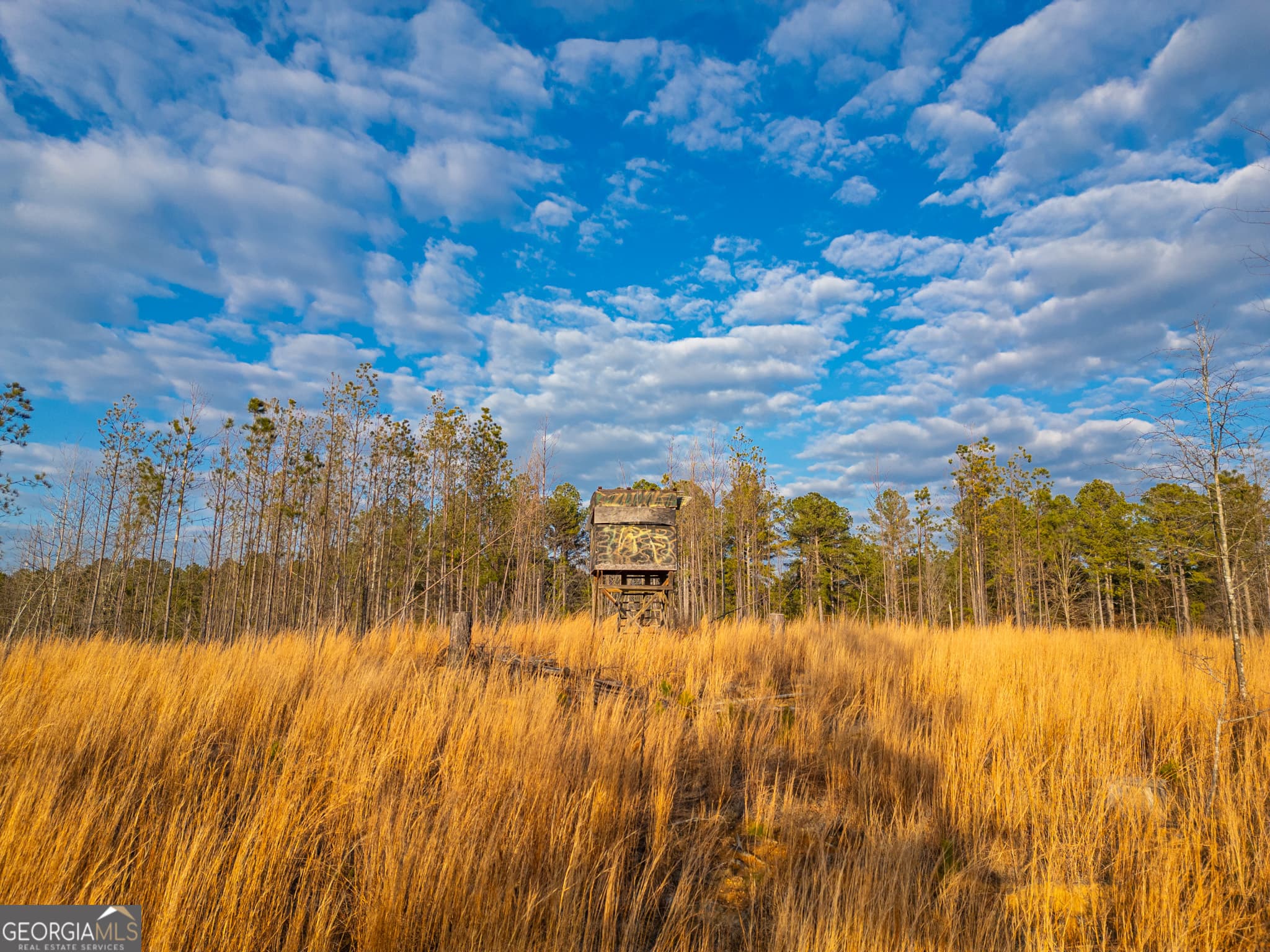 agriculture for sale at 1 Smith Rocky Branch Road, Carlton, GA 30627