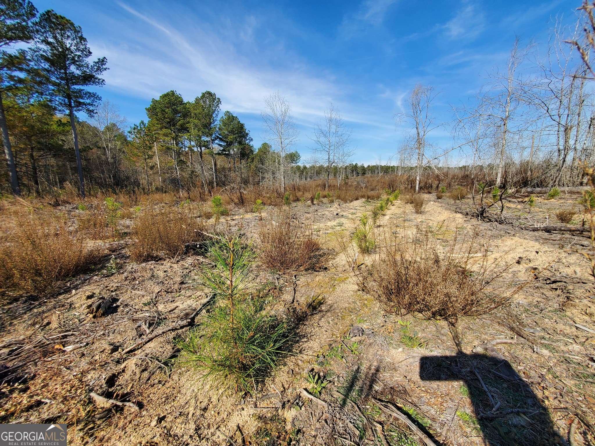 agriculture for sale at 1 Smith Rocky Branch Road, Carlton, GA 30627 — photo 9