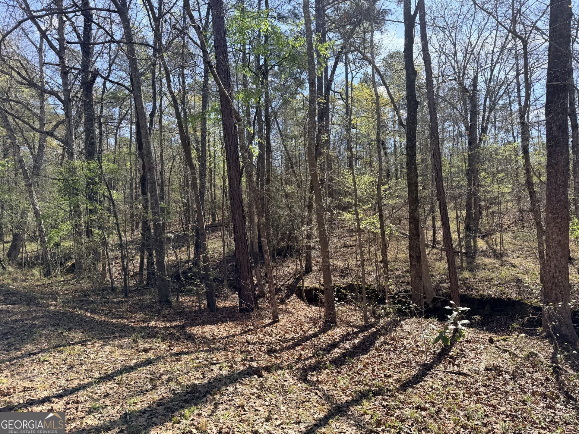 residential lot for sale at 0 Welker Circle, Macon, GA 31211 — photo 1 of 1