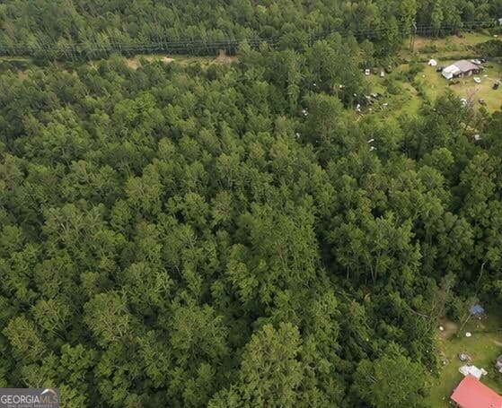 residential lot for sale at 0 Washington Street, Sardis, GA 30456 — photo 3