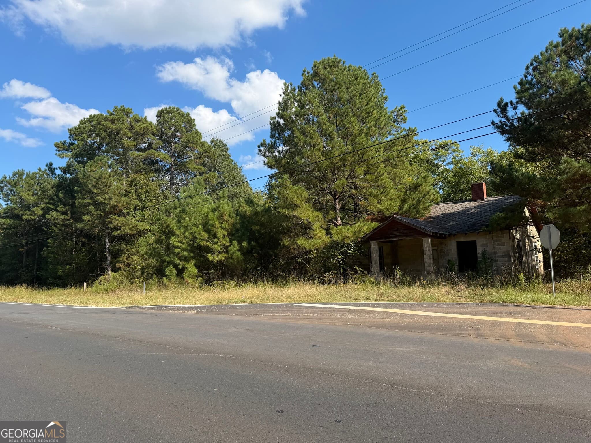 agriculture for sale at 0 Highway 431, Lafayette, AL 36862 — photo 2