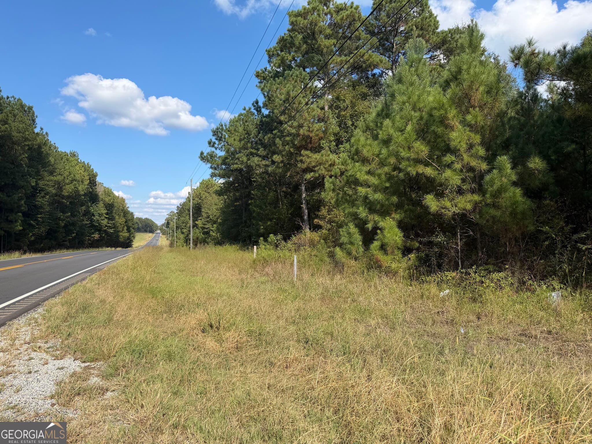 agriculture for sale at 0 Highway 431, Lafayette, AL 36862 — photo 3