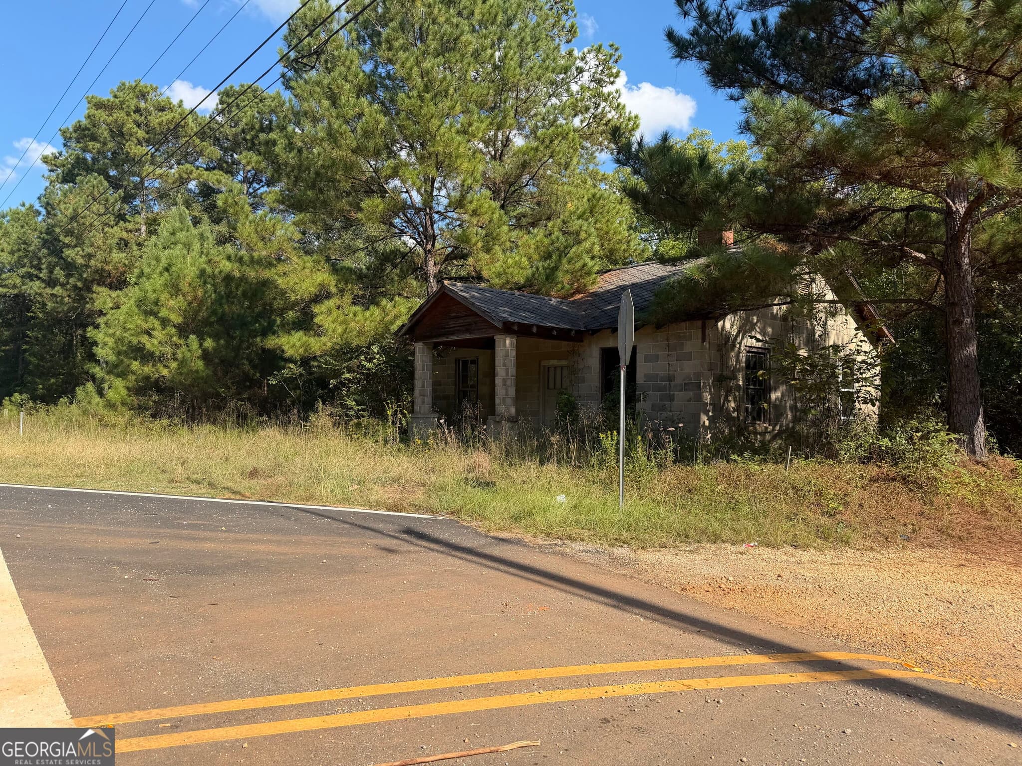 agriculture for sale at 0 Highway 431, Lafayette, AL 36862