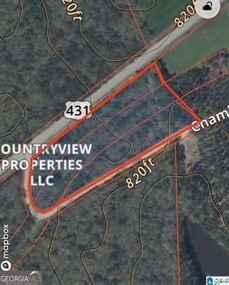 agriculture for sale at 0 Highway 431, Lafayette, AL 36862 — photo 5