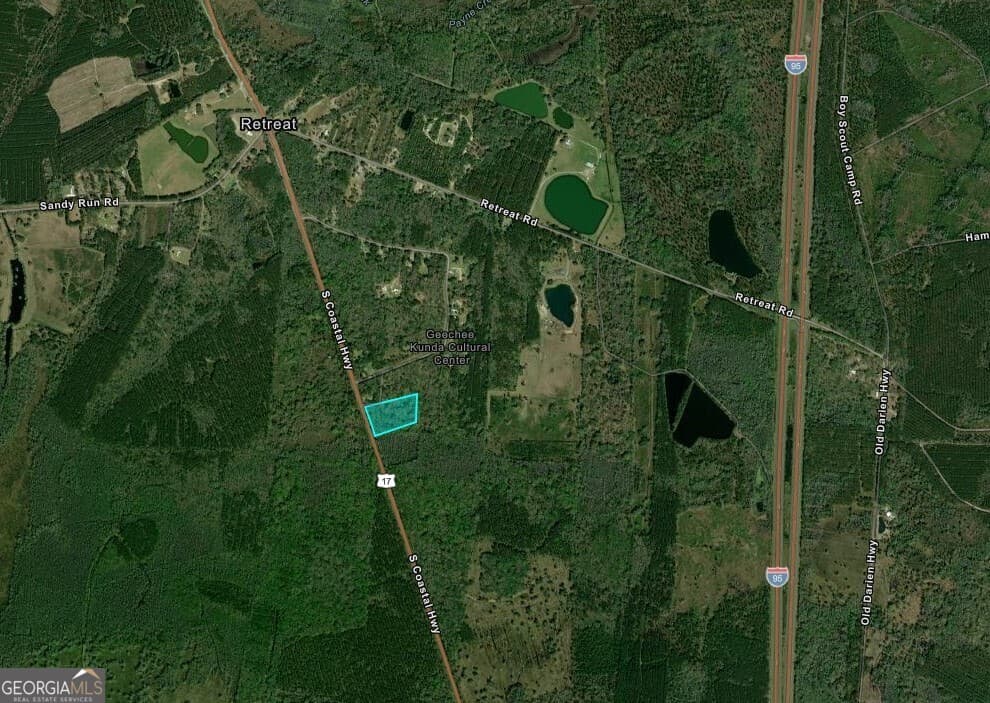 unimproved land for sale at 5.8 ACRES S Coastal Highway, Riceboro, GA 31323 — photo 2
