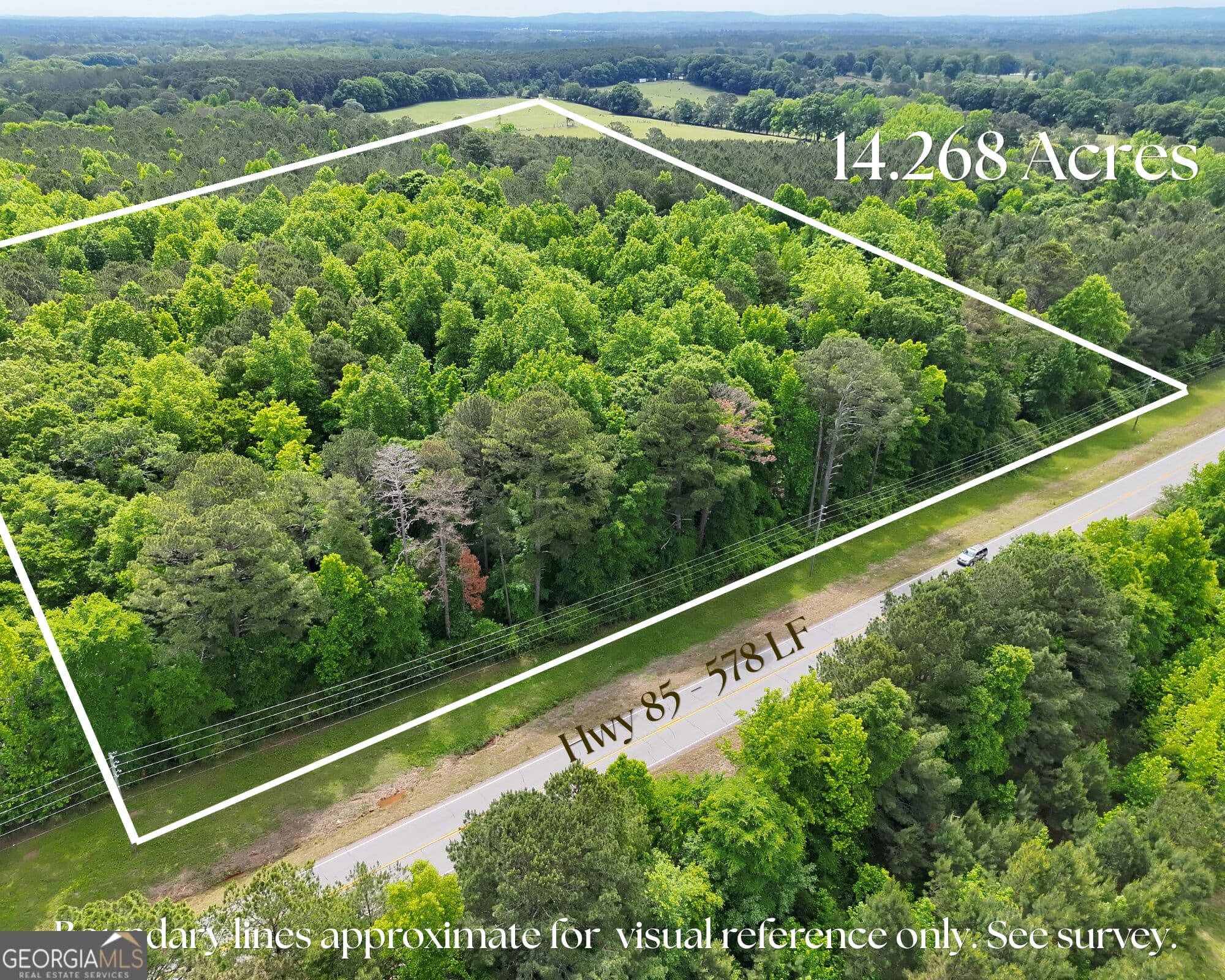 residential lot for sale at 14+ ACRES Highway 85, Gay, GA 30218 — photo 2