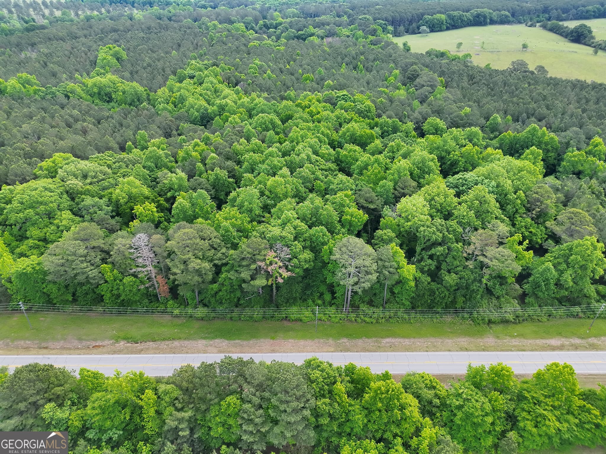 residential lot for sale at 14+ ACRES Highway 85, Gay, GA 30218 — photo 3