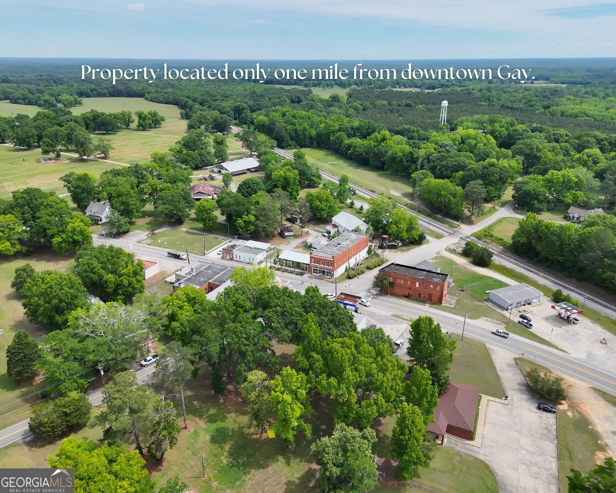 residential lot for sale at 14+ ACRES Highway 85, Gay, GA 30218 — photo 4