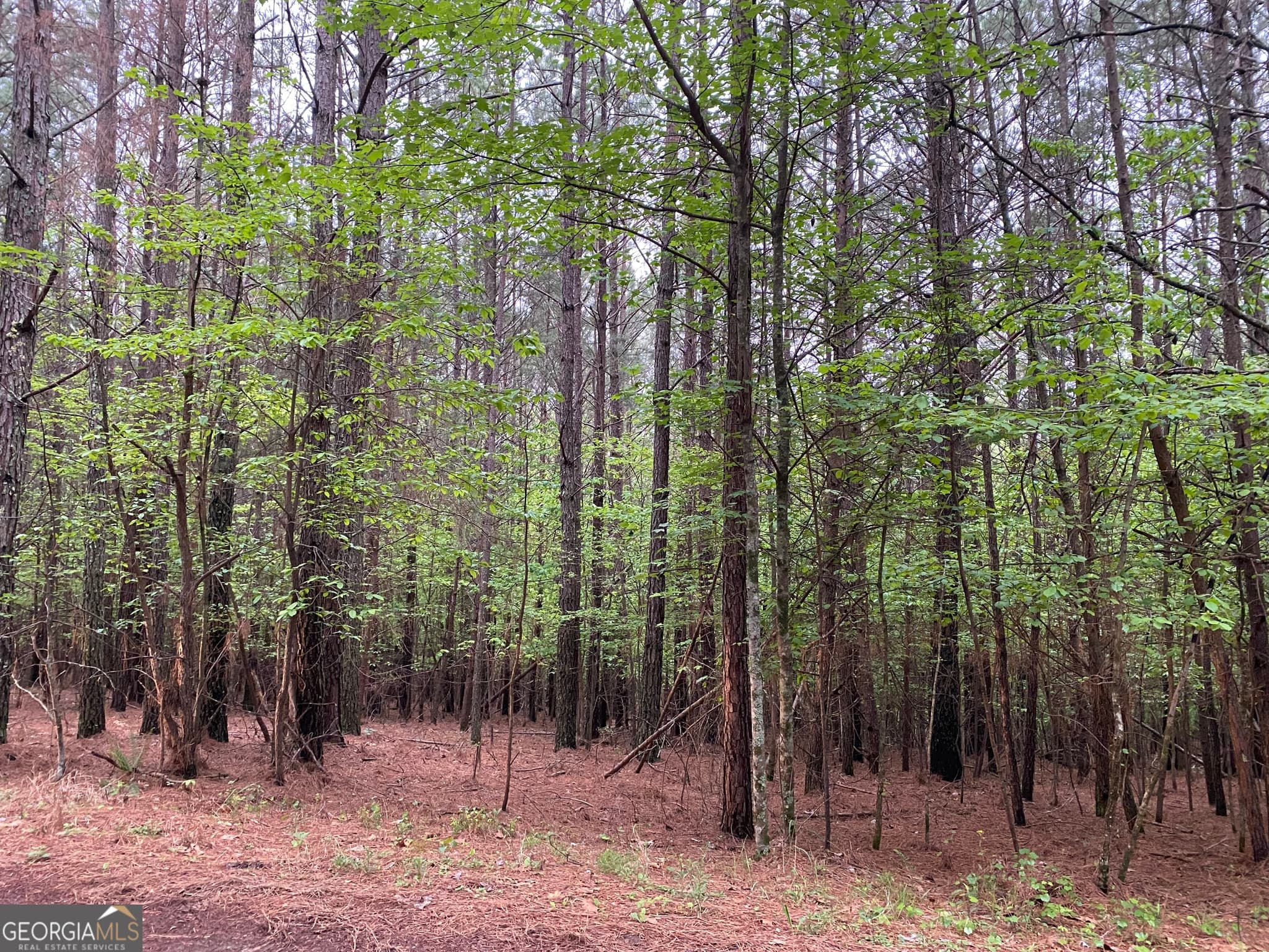 unimproved land for sale at 0 Mull Drive, Mineral Bluff, GA 30559 — photo 2