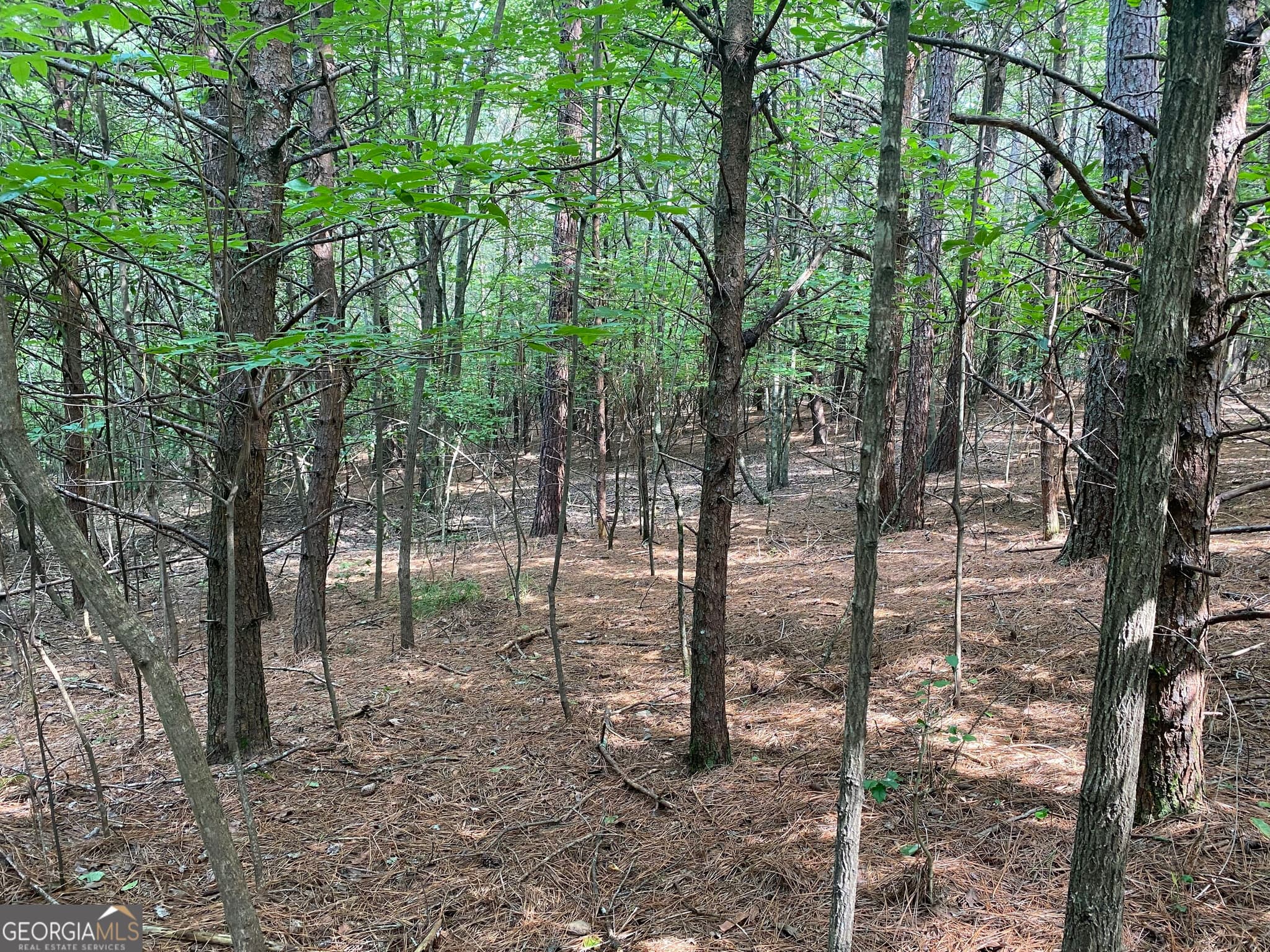unimproved land for sale at 0 Mull Drive, Mineral Bluff, GA 30559 — photo 6