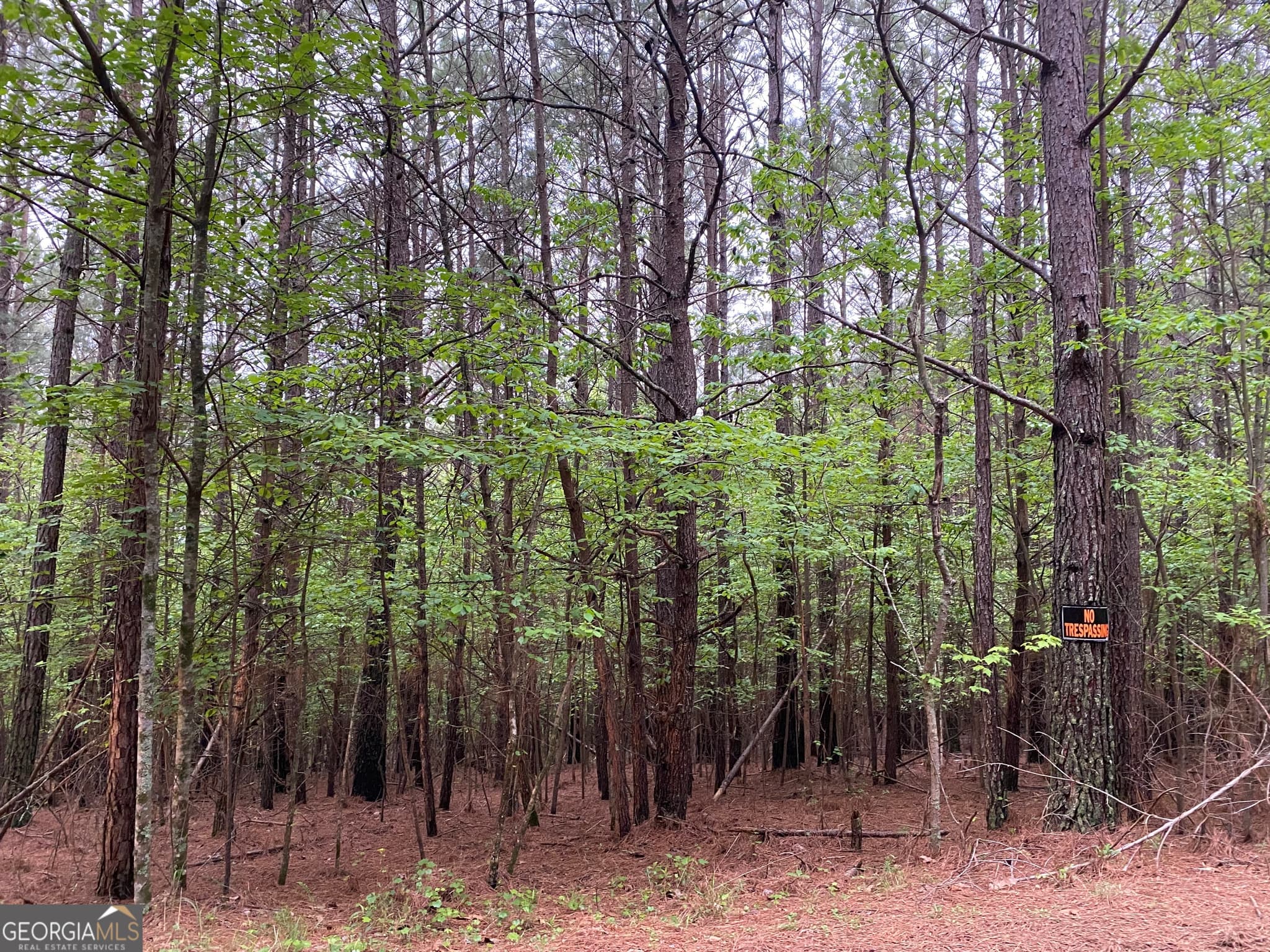 unimproved land for sale at 0 Mull Drive, Mineral Bluff, GA 30559 — photo 3