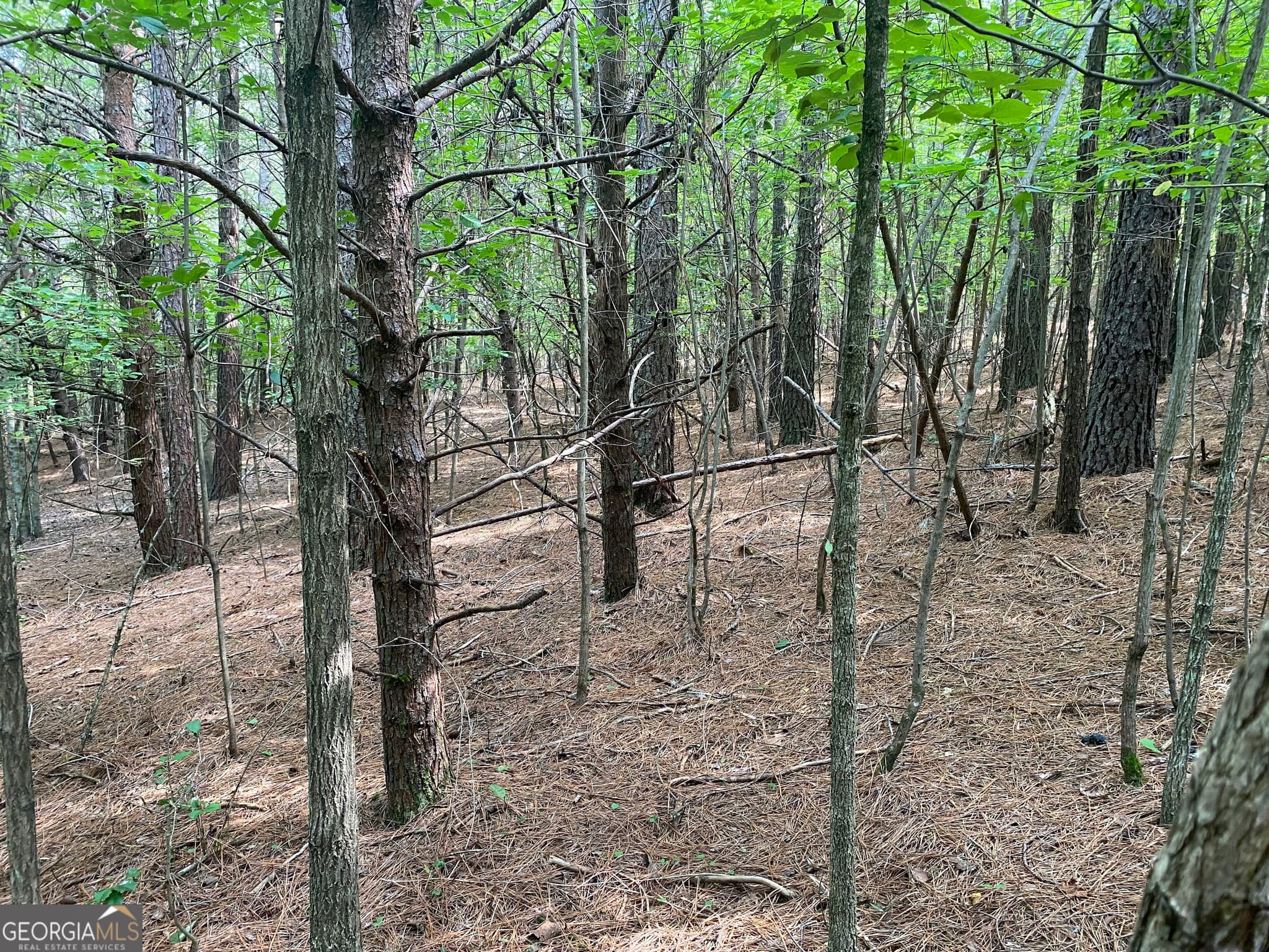 unimproved land for sale at 0 Mull Drive, Mineral Bluff, GA 30559 — photo 5