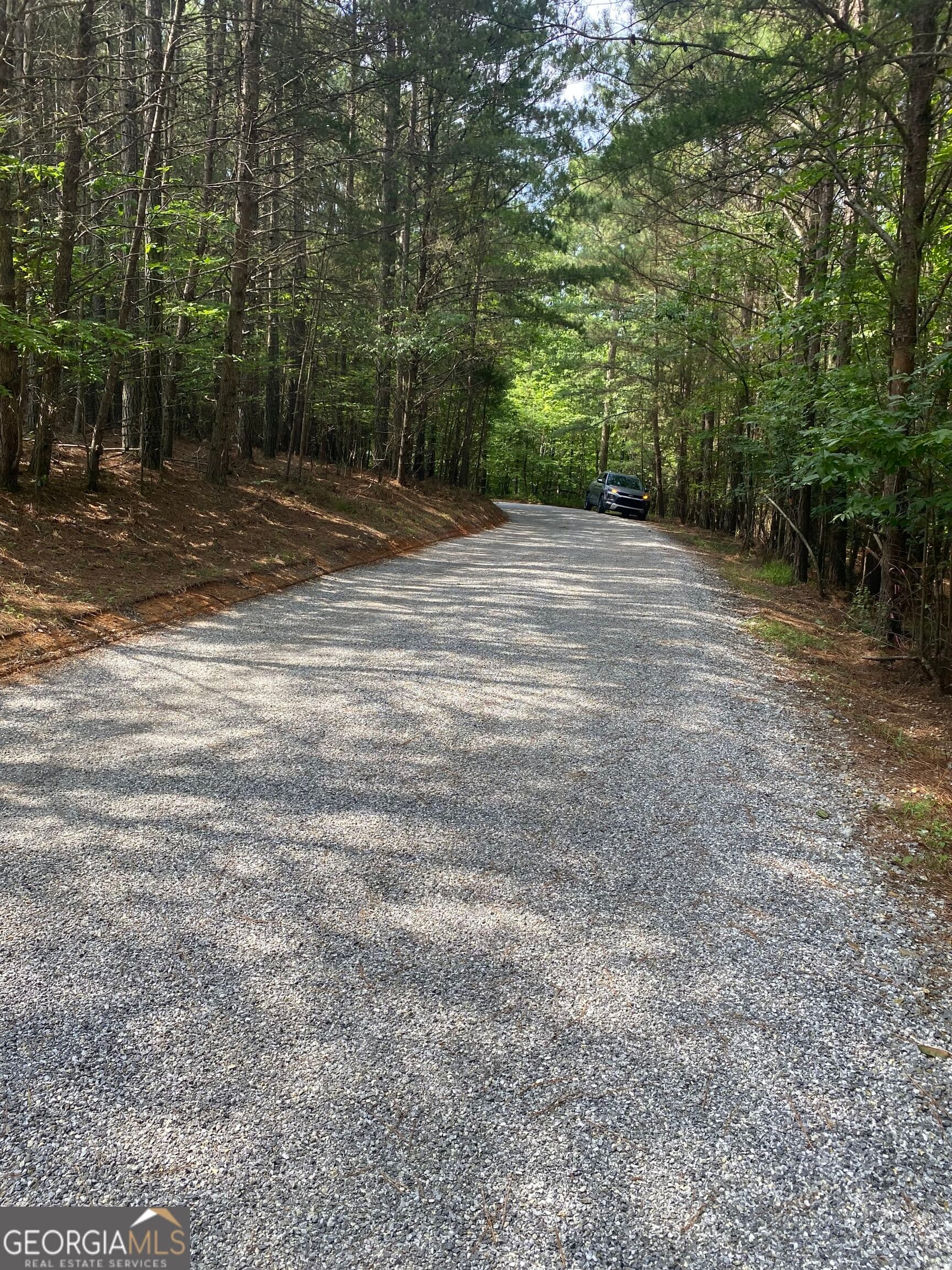 unimproved land for sale at 0 Mull Drive, Mineral Bluff, GA 30559 — photo 4