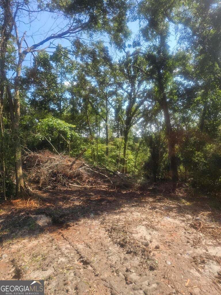 residential lot for sale at 470 Forrest Drive, Louisville, GA 30434 — photo 6