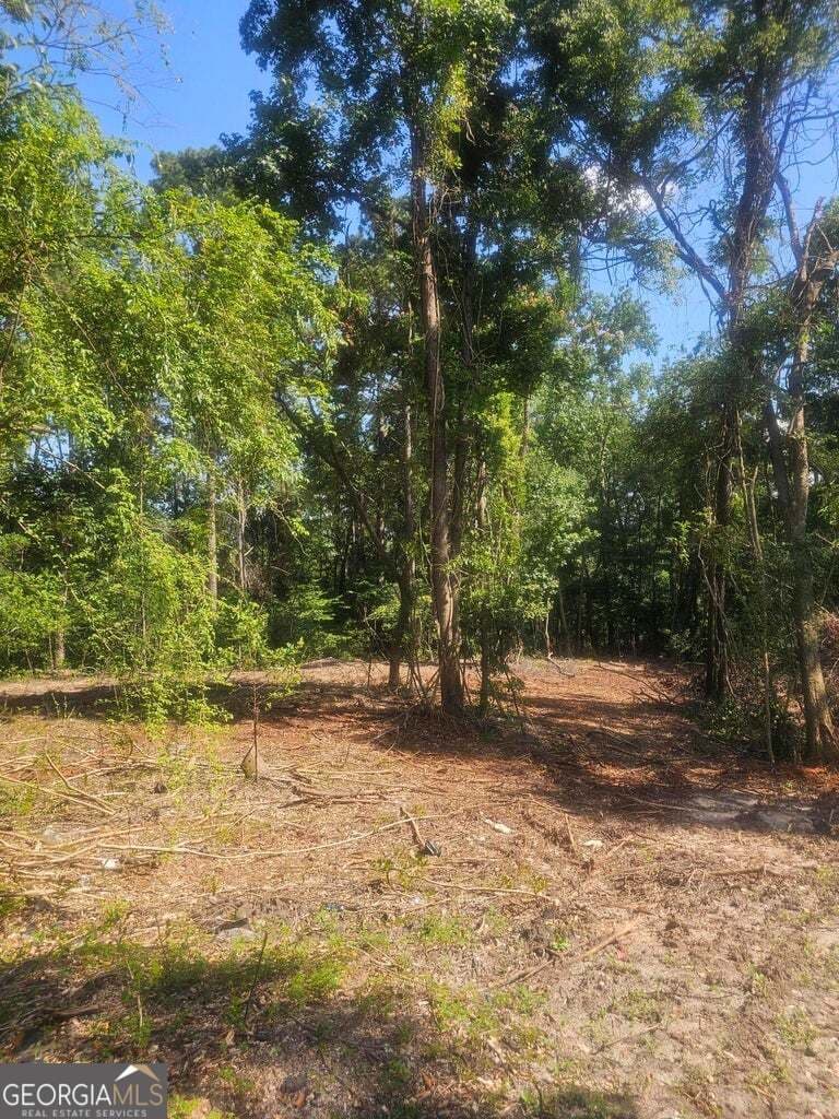 residential lot for sale at 470 Forrest Drive, Louisville, GA 30434 — photo 3