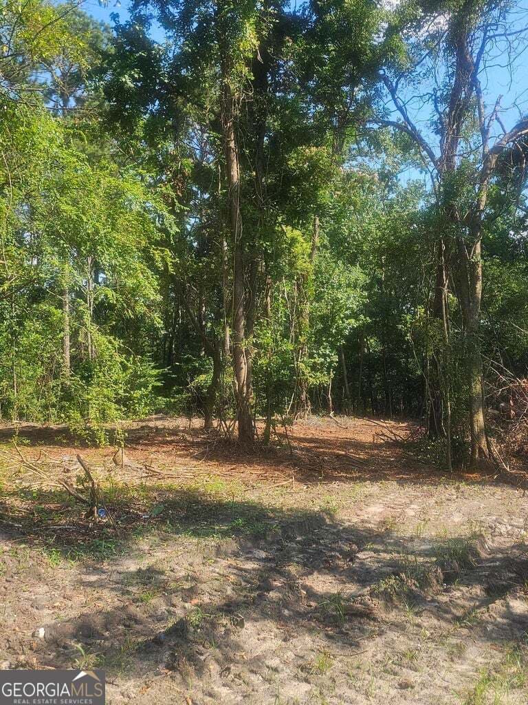 residential lot for sale at 470 Forrest Drive, Louisville, GA 30434 — photo 5