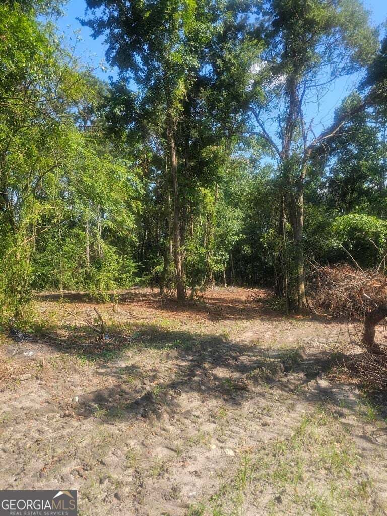 residential lot for sale at 470 Forrest Drive, Louisville, GA 30434 — photo 4