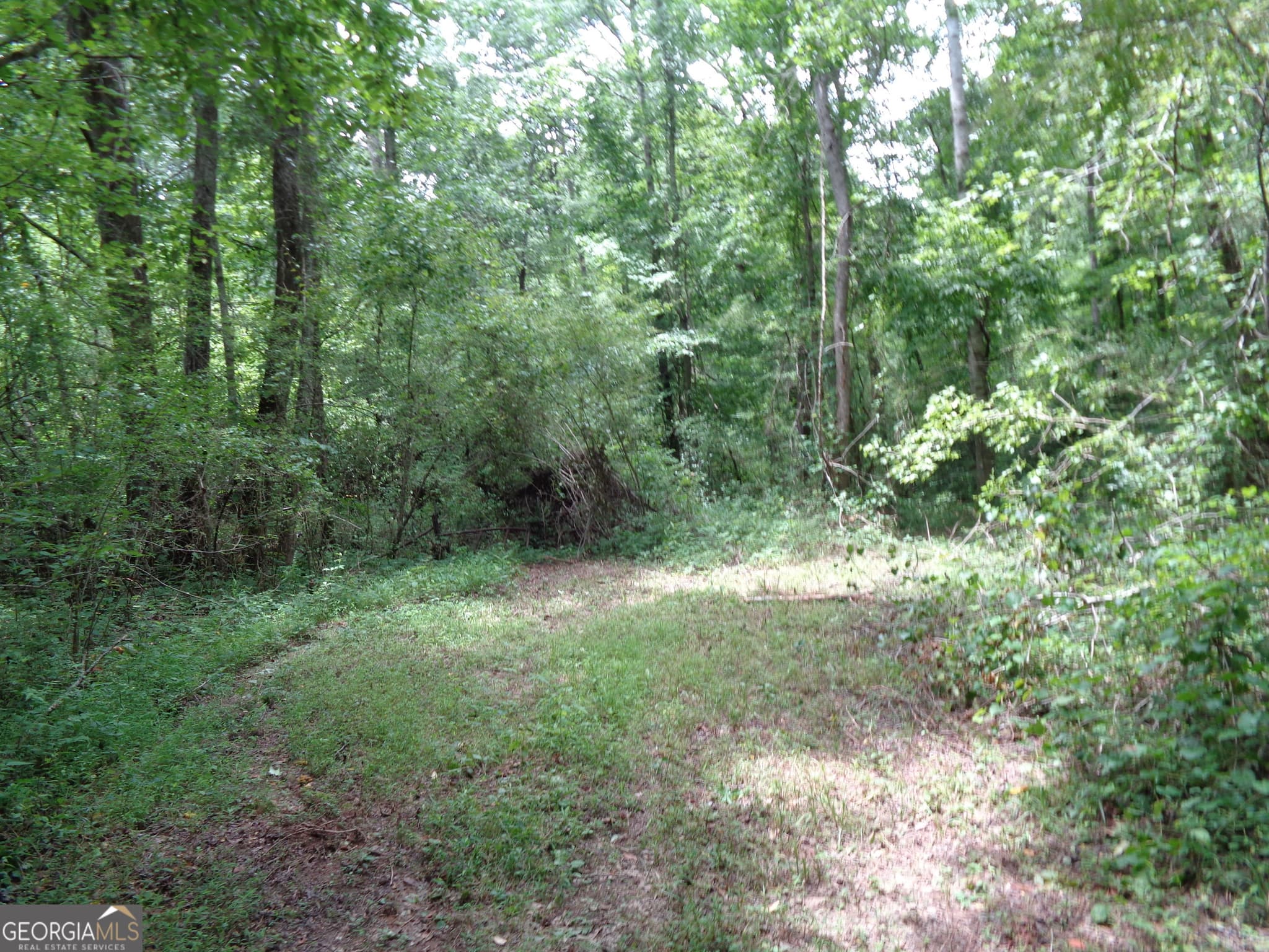 agriculture for sale at 2411 Kesler Road, Carnesville, GA 30521 — photo 6