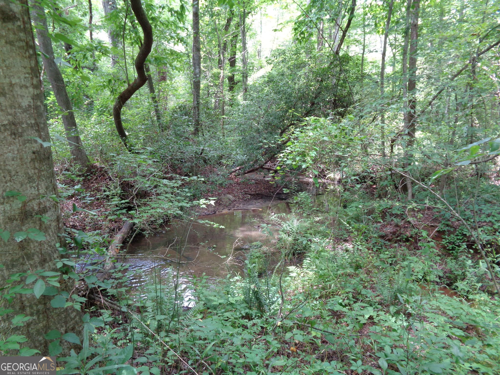 agriculture for sale at 2411 Kesler Road, Carnesville, GA 30521 — photo 7