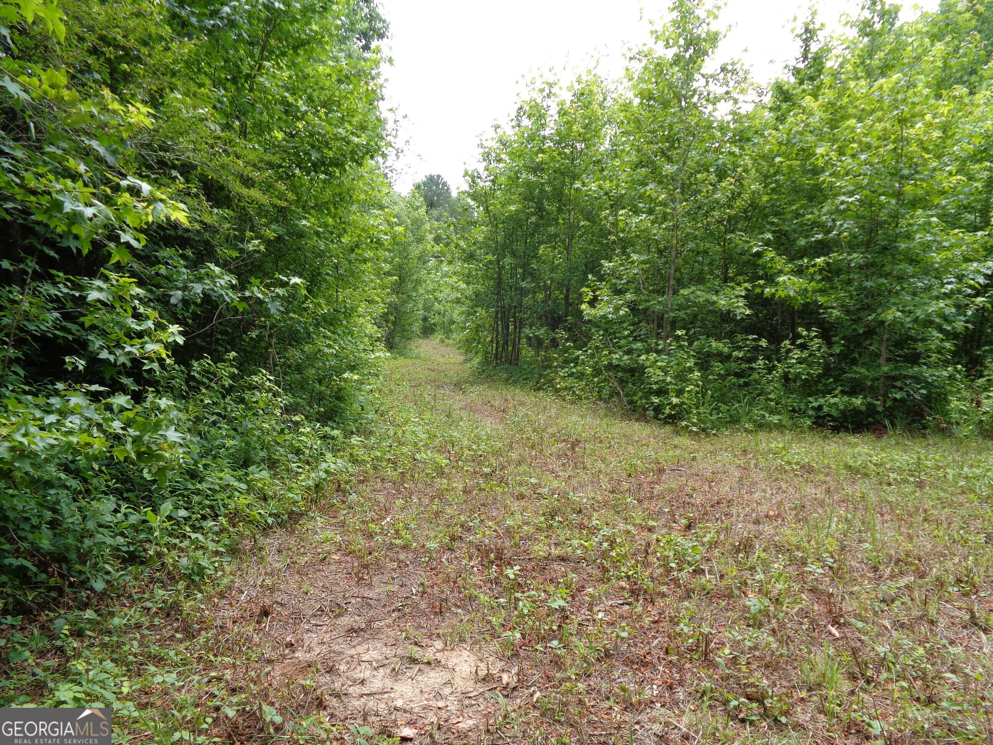 agriculture for sale at 2411 Kesler Road, Carnesville, GA 30521 — photo 3
