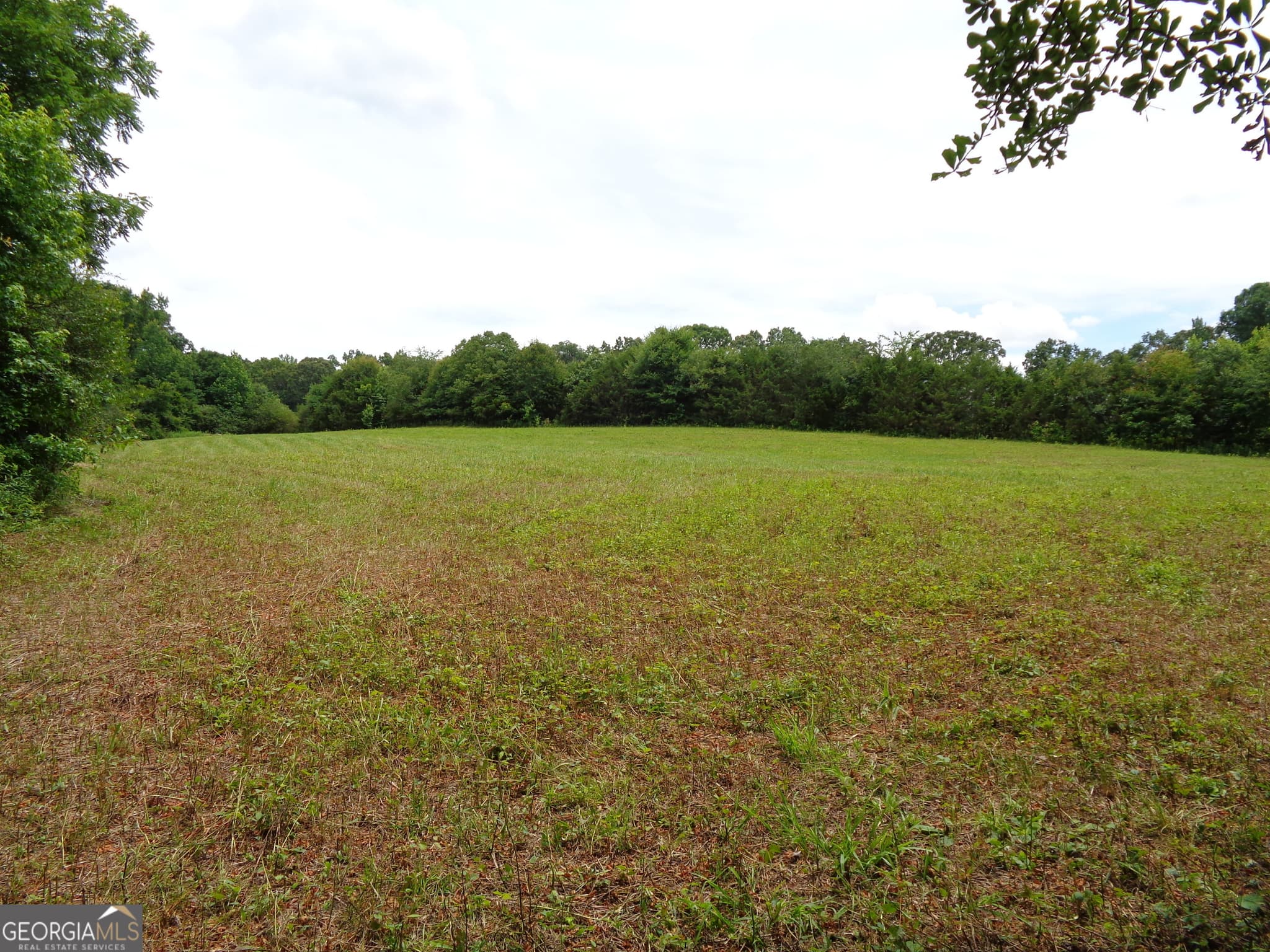agriculture for sale at 2411 Kesler Road, Carnesville, GA 30521 — photo 1 of 62