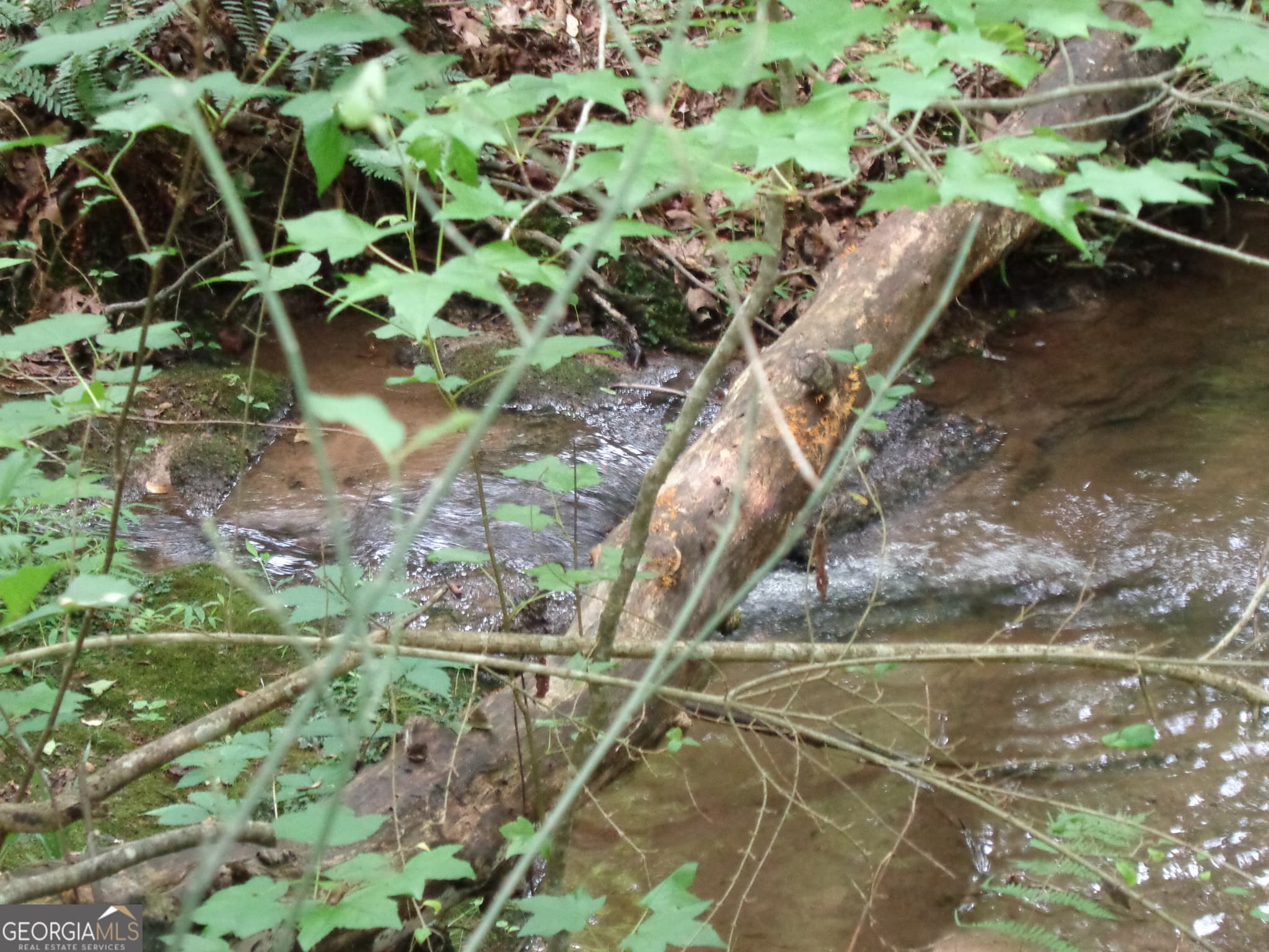 agriculture for sale at 2411 Kesler Road, Carnesville, GA 30521 — photo 9