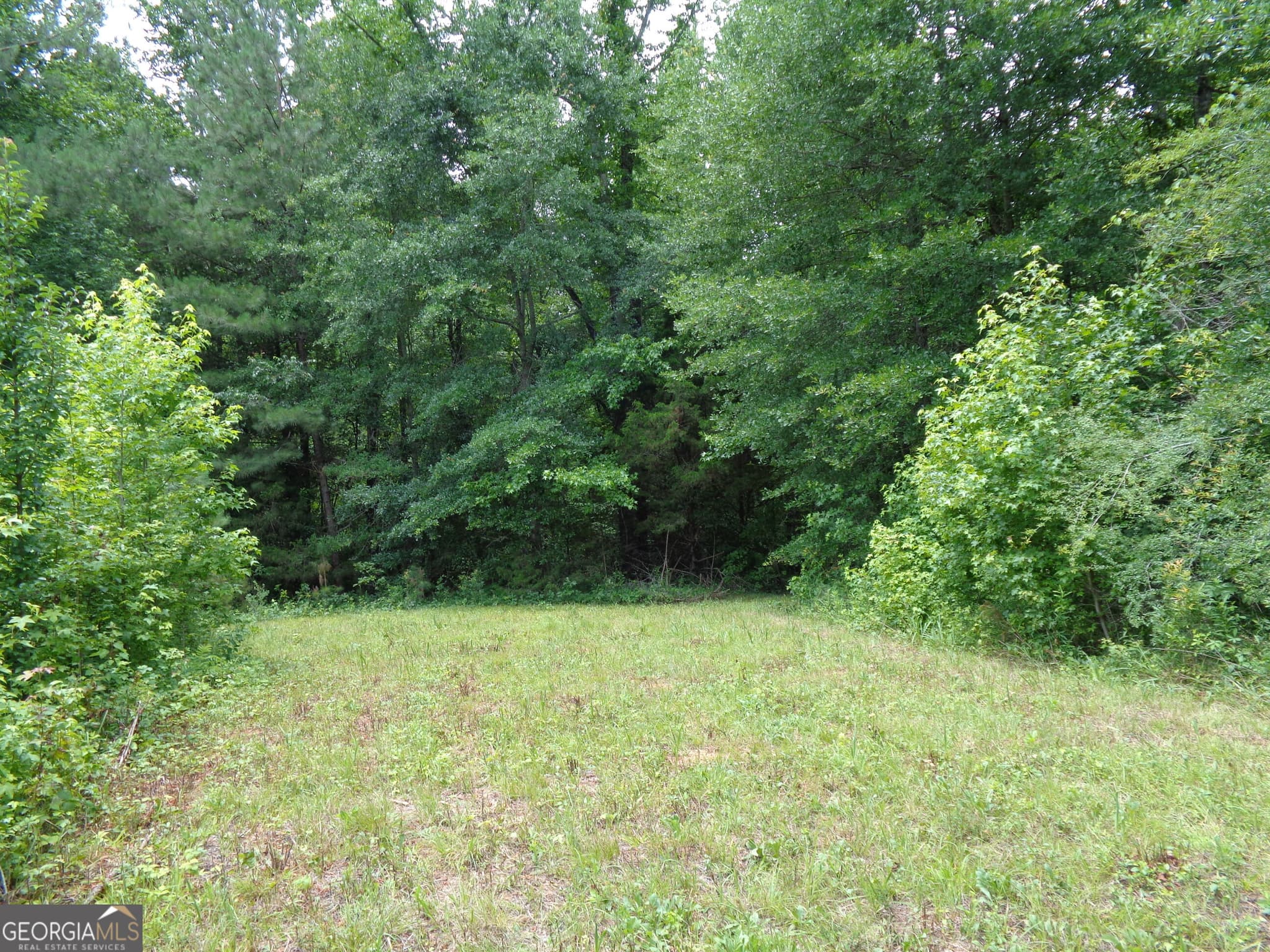 agriculture for sale at 2411 Kesler Road, Carnesville, GA 30521 — photo 4